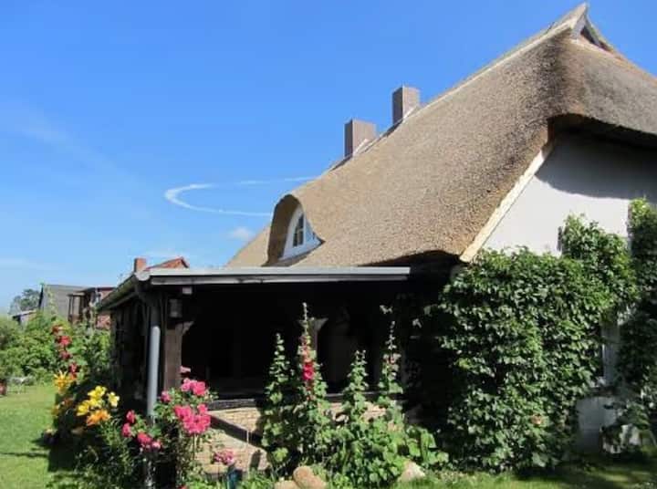 Koras Dachkammer - Rövershagen