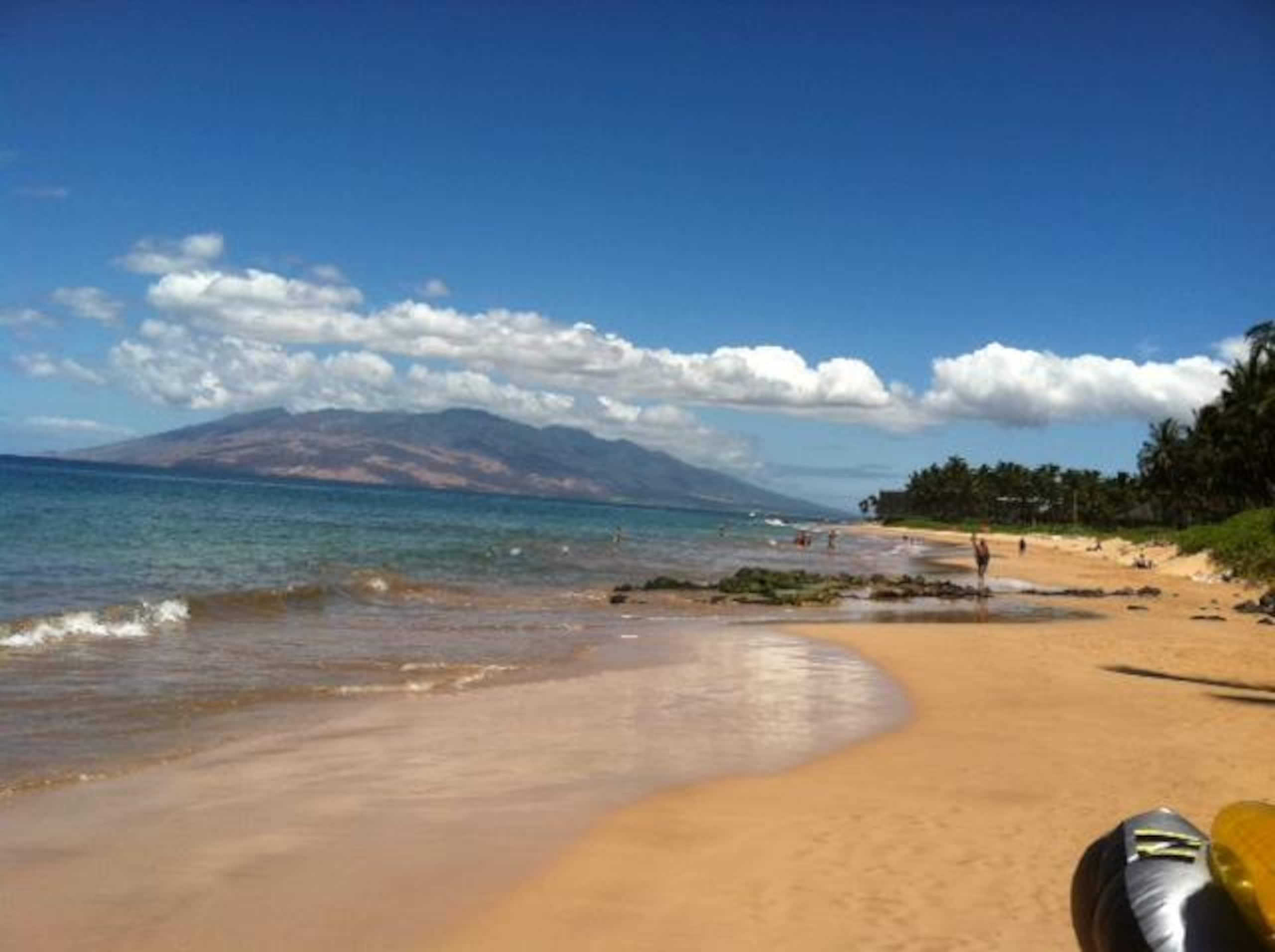 Condo in Kihei · ★4.6 · 2 bedrooms · 4 beds · 2 shared baths - Image 47