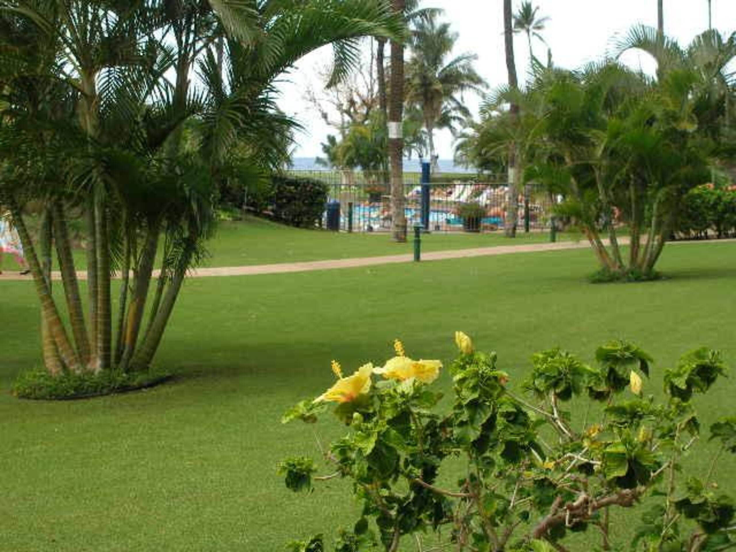 Condo in Kihei · ★5.0 · 1 bedroom · 2 beds · 2 shared baths - Image 29
