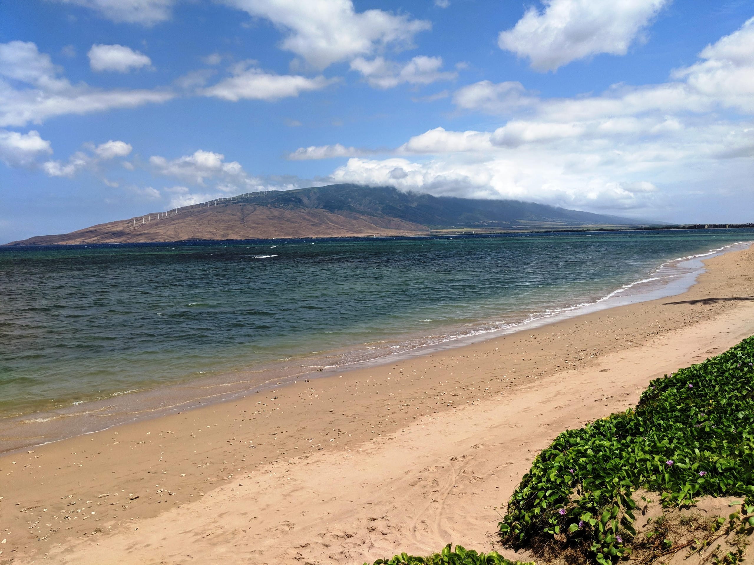 Condo in Kihei · ★5.0 · 1 bedroom · 2 beds · 2 baths - Image 11