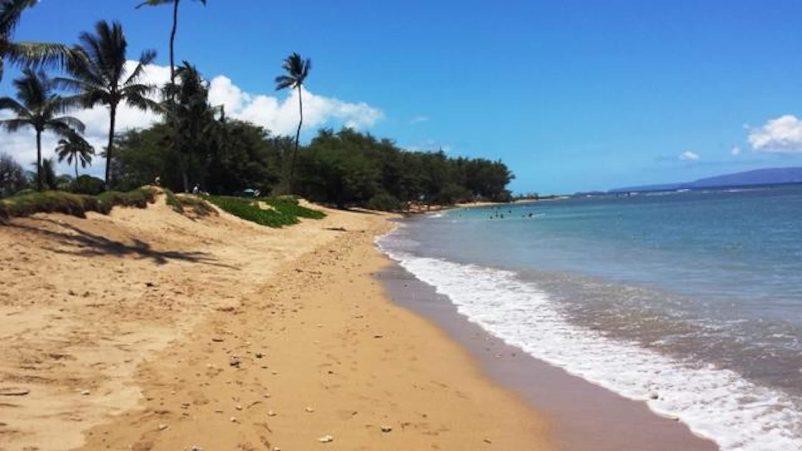 Condo in Kihei · ★5.0 · 1 bedroom · 2 beds · 2 baths - Image 1