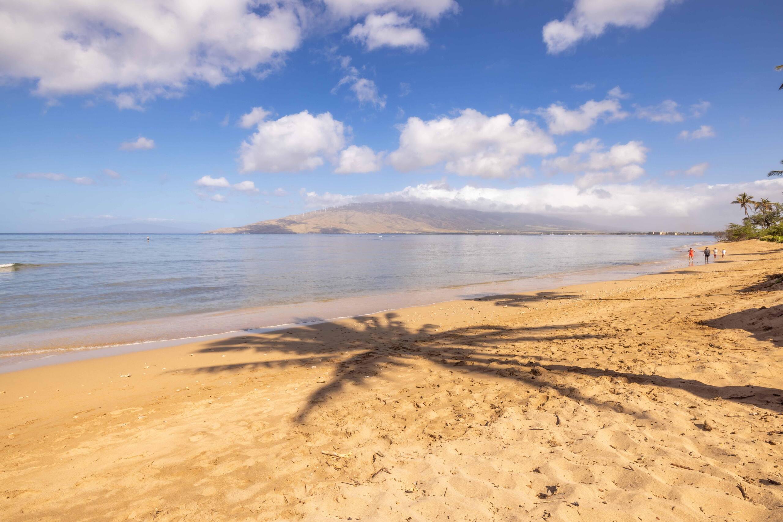 Condo in Kihei · ★4.71 · 2 bedrooms · 4 beds · 2 shared baths - Image 2
