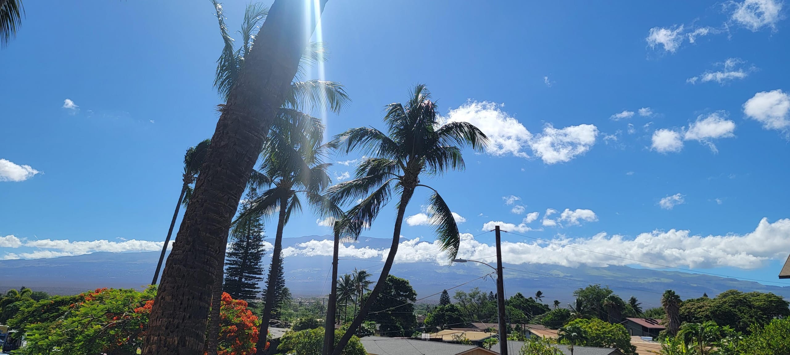 Condo in Kihei · ★4.5 · 3 bedrooms · 5 beds · 3 shared baths - Image 33