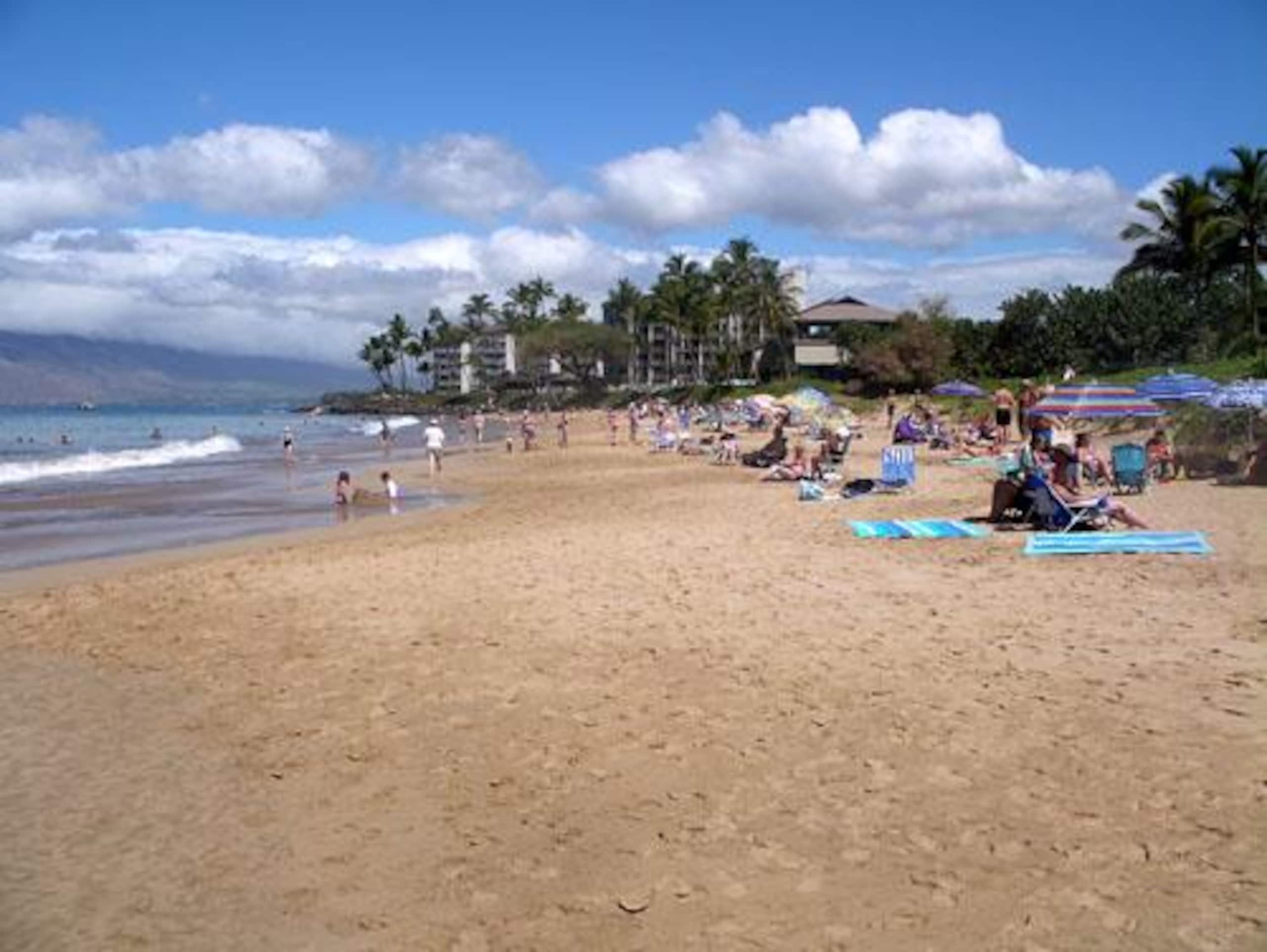 Condo in Kihei · ★4.32 · 1 bedroom · 2 beds · 2 private baths - Image 39