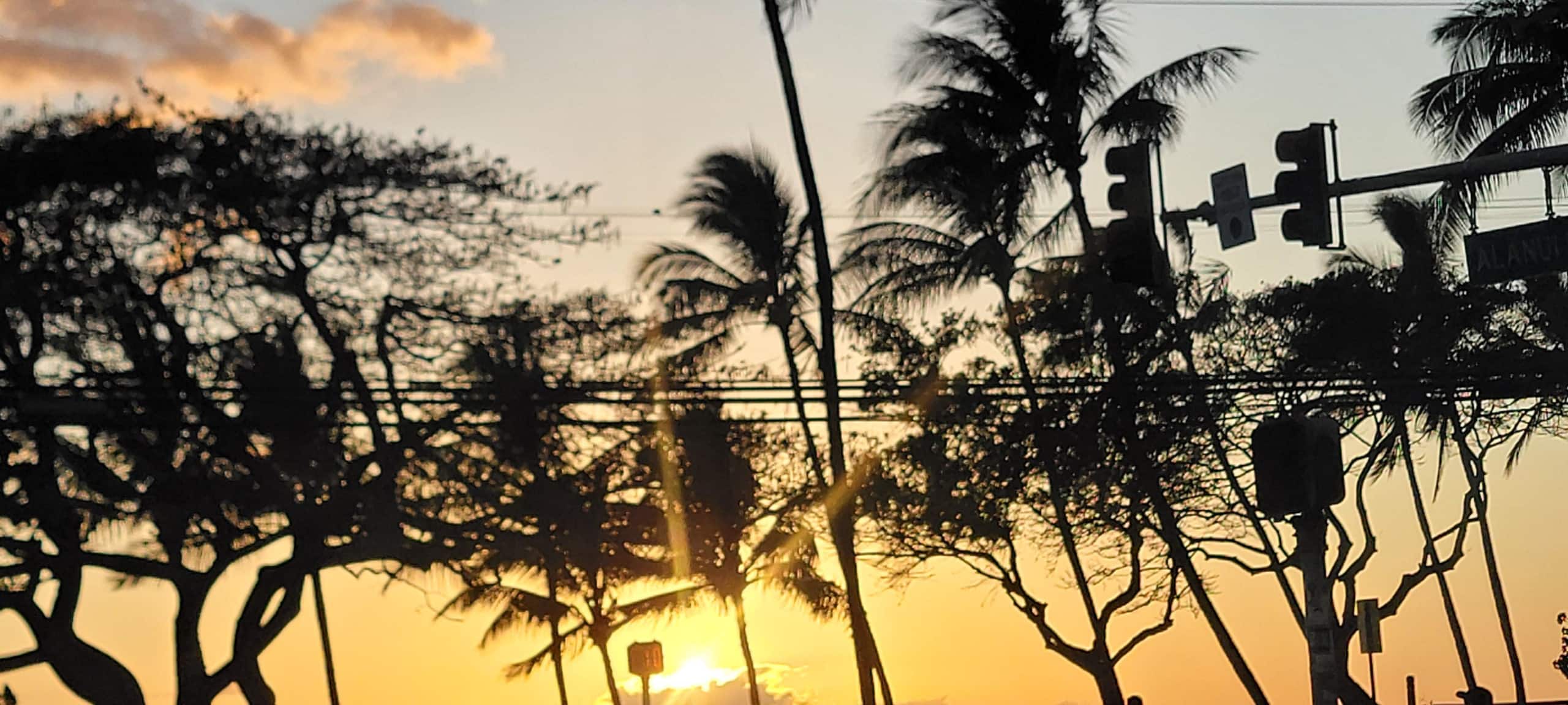Condo in Kihei · ★4.32 · 1 bedroom · 2 beds · 2 private baths - Image 40