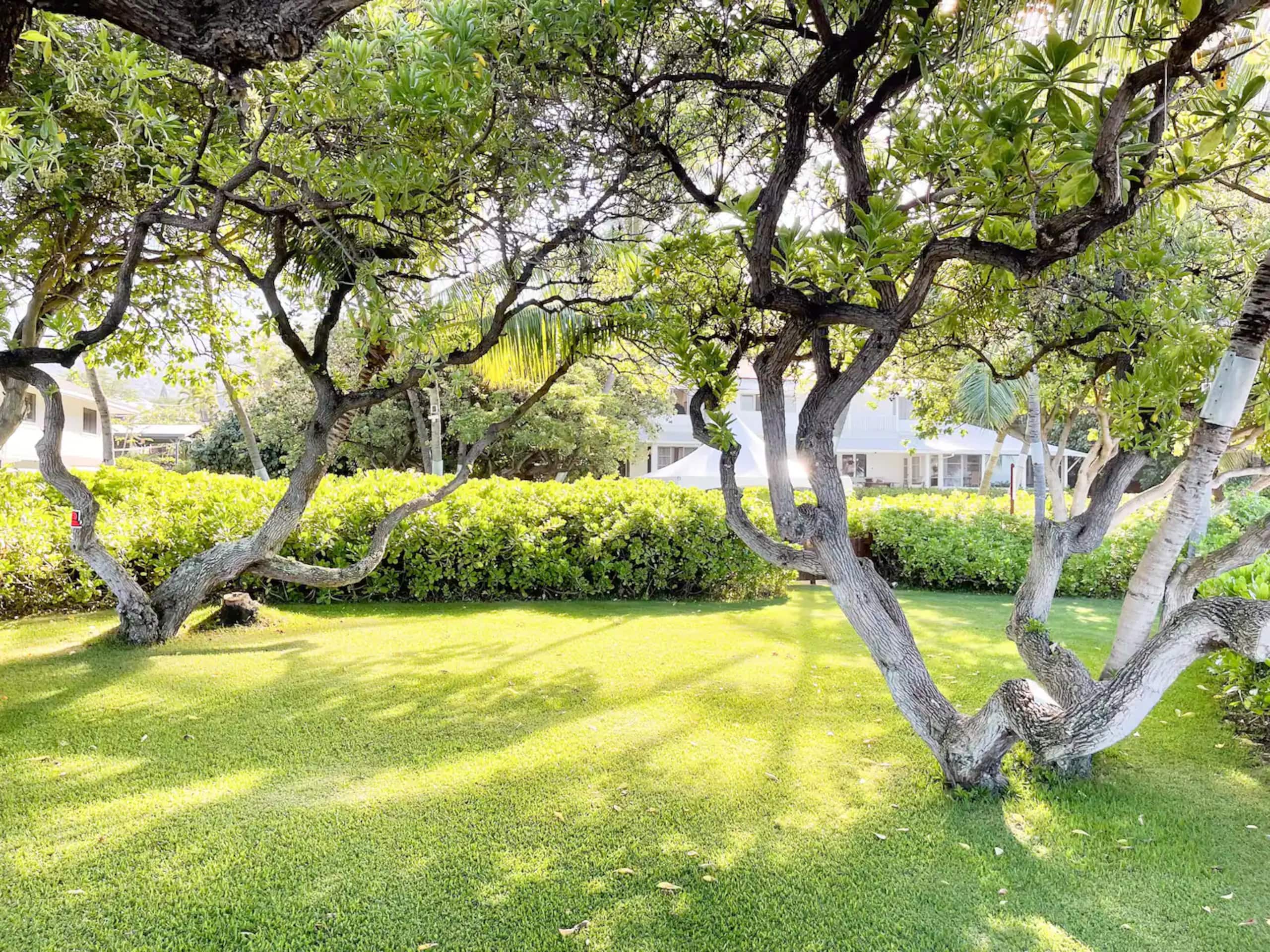 Home in Kailua-Kona · ★4.89 · 4 bedrooms · 5 beds · 4 baths - Image 48