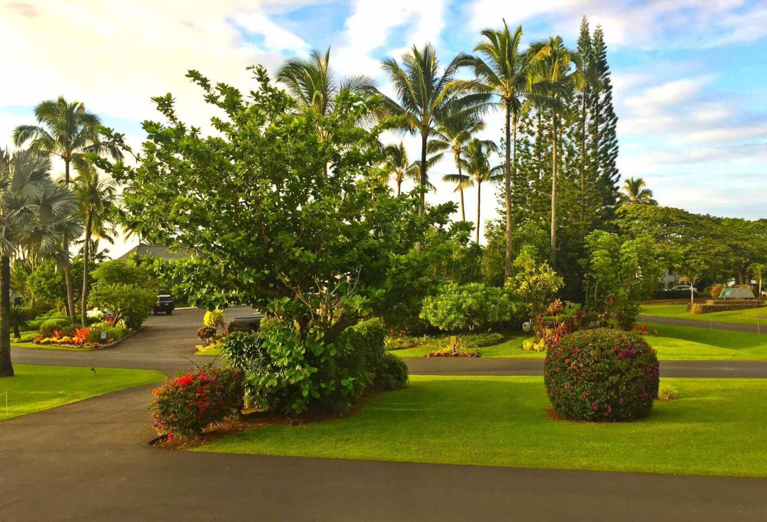 Condo in Princeville · ★4.93 · 2 bedrooms · 2 beds · 2 private baths - Image 25