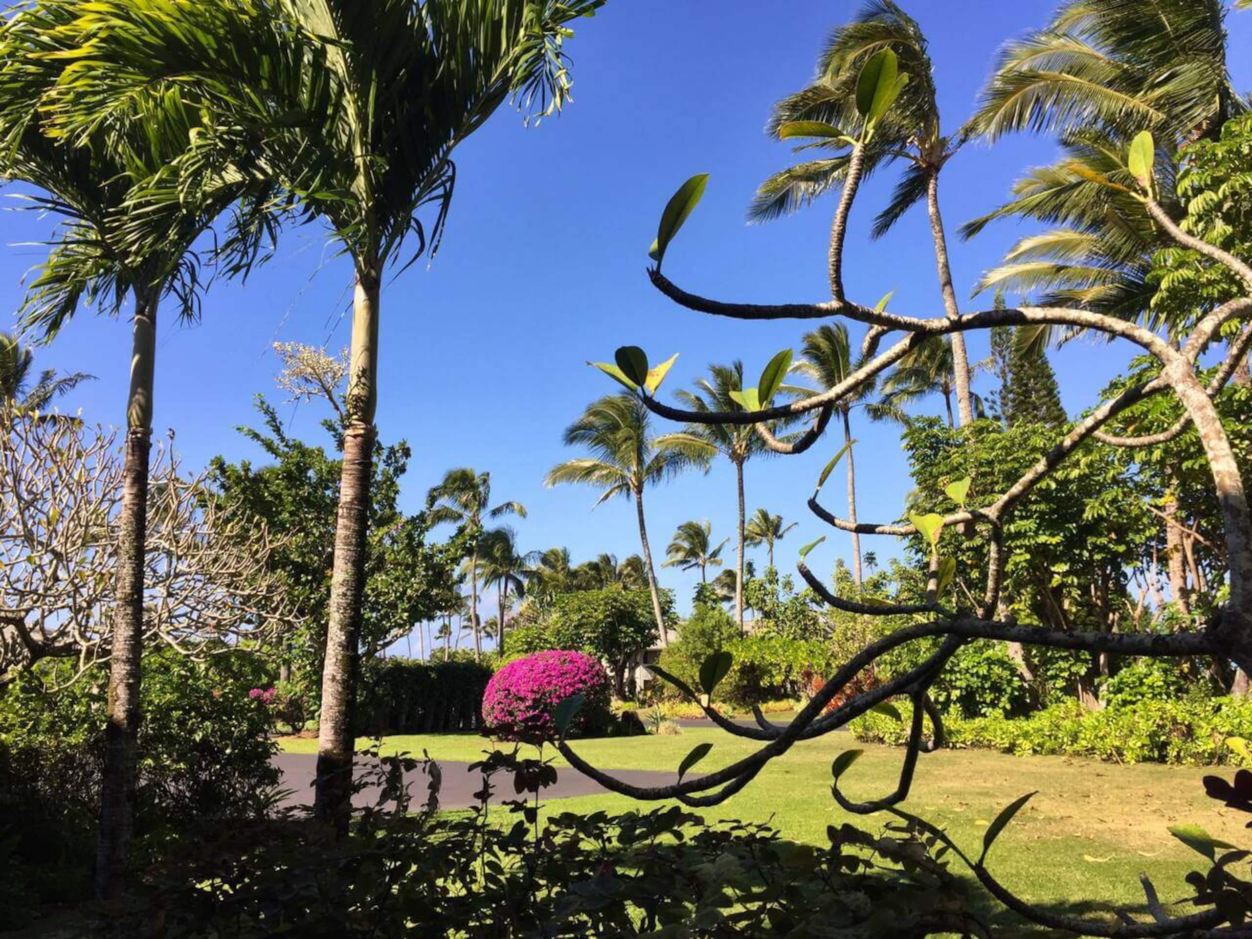 Condo in Princeville · ★4.93 · 2 bedrooms · 2 beds · 2 private baths - Image 4