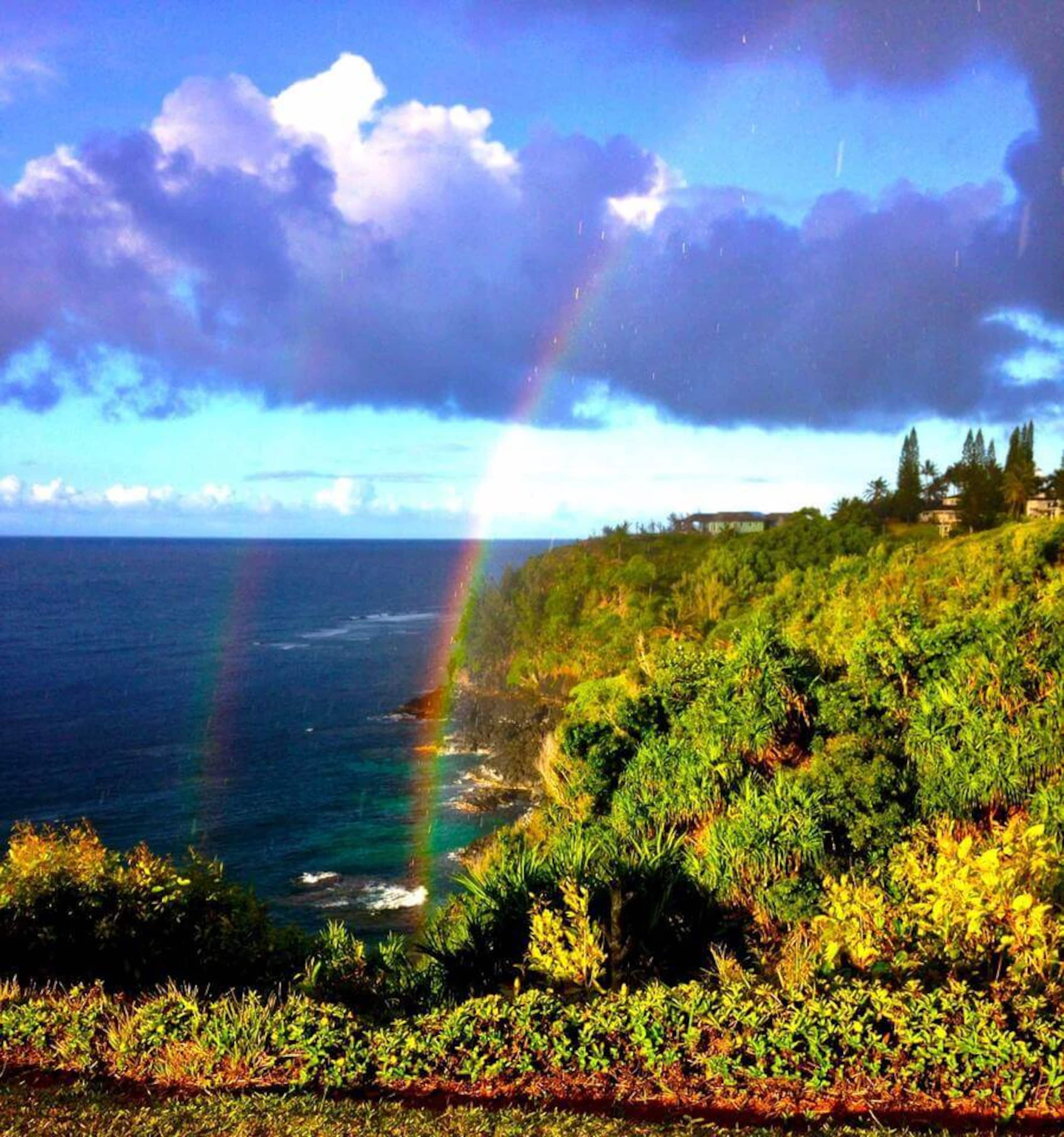 Condo in Princeville · ★4.93 · 2 bedrooms · 2 beds · 2 private baths - Image 33