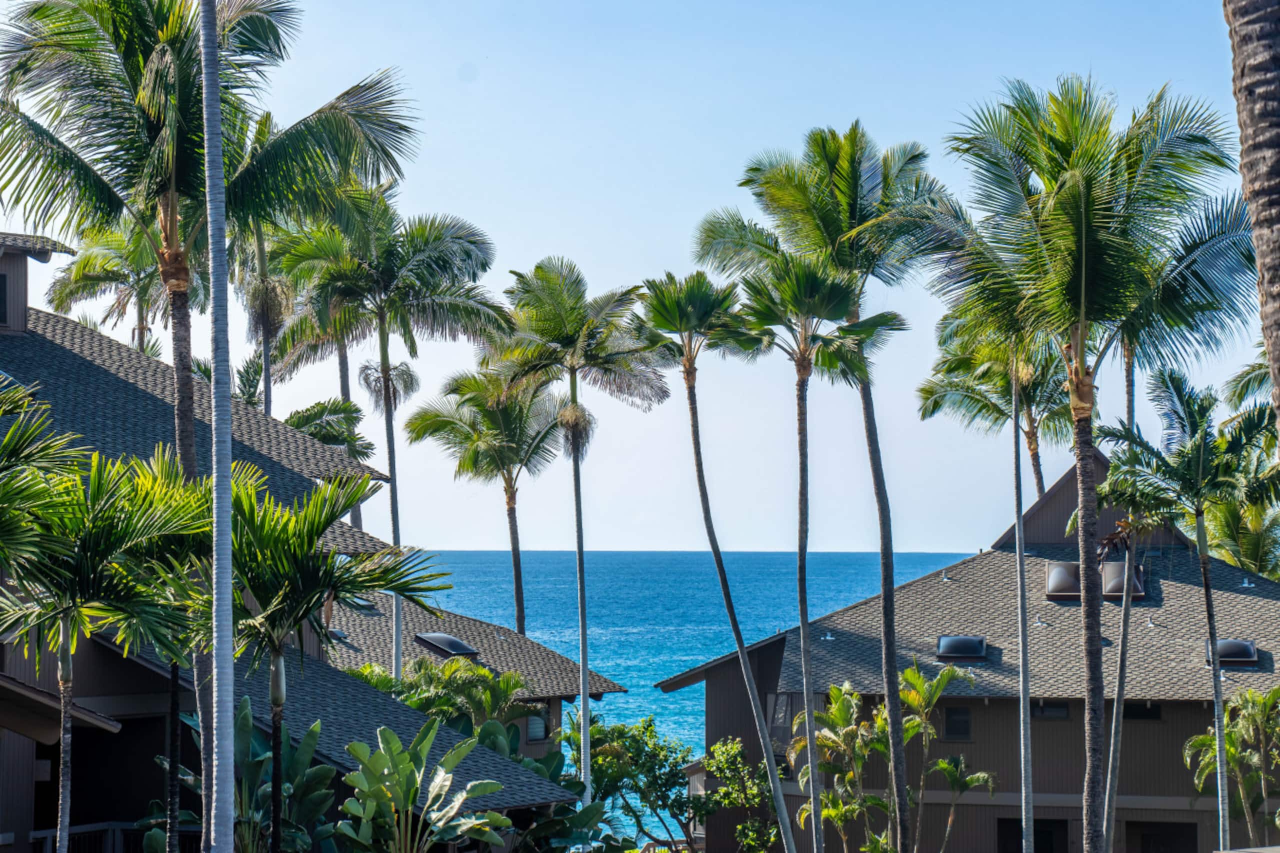 Condo in Kailua-Kona · ★4.96 · 2 bedrooms · 4 beds · 2 baths - Image 23