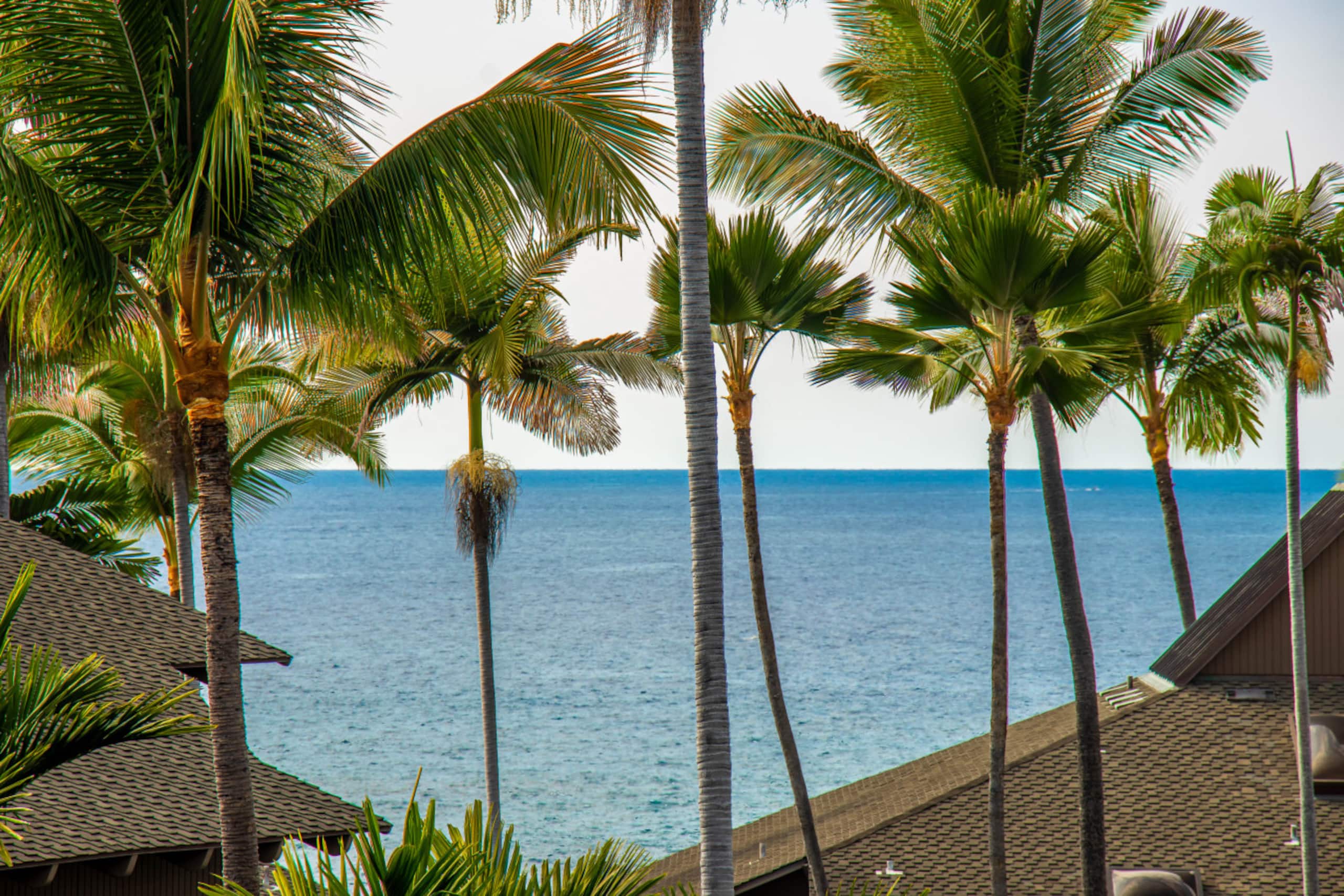 Condo in Kailua-Kona · ★4.96 · 2 bedrooms · 4 beds · 2 baths - Image 39