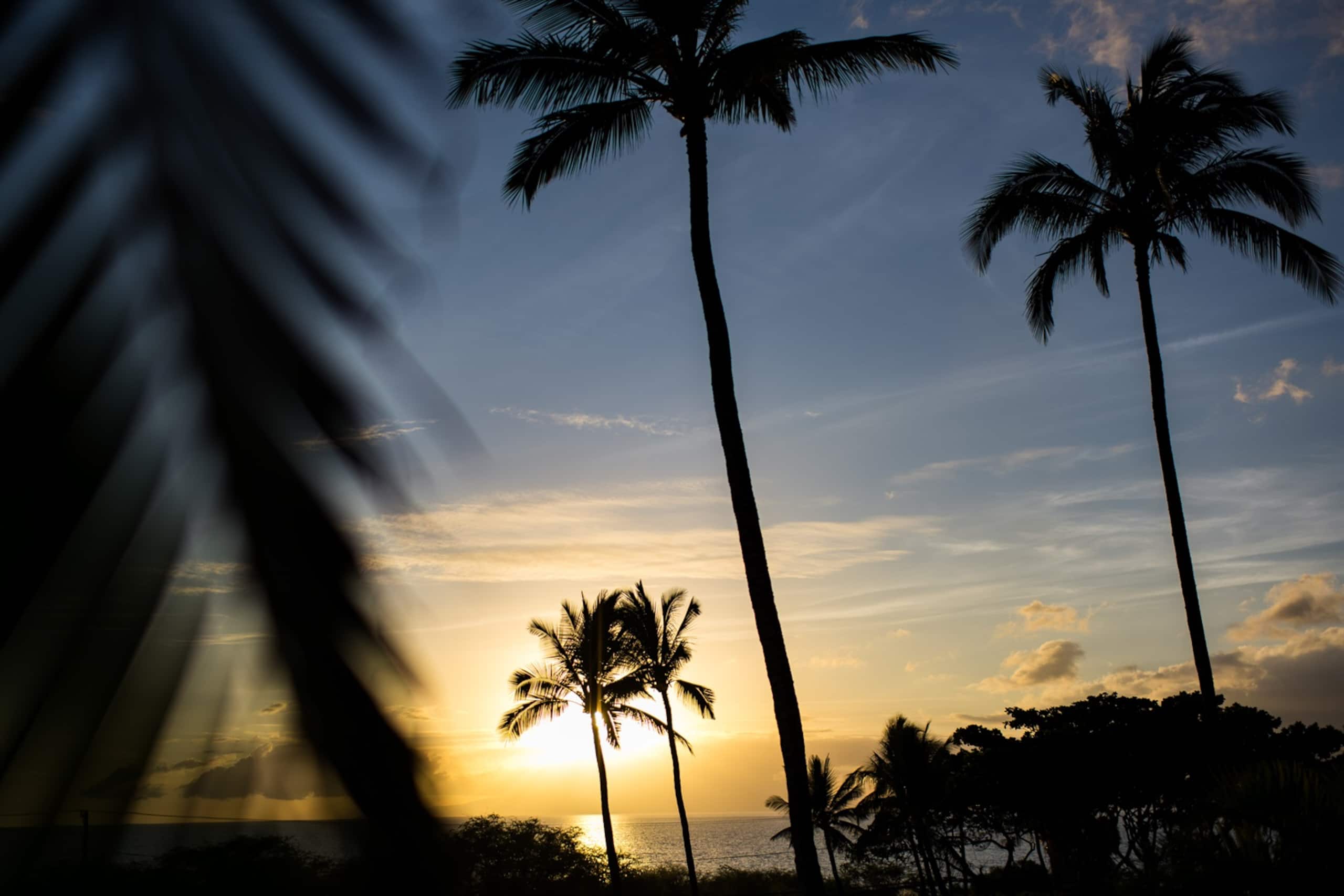 Maui Kamaole in Kihei | Ocean View, Pool, Hot Tub - Image 43