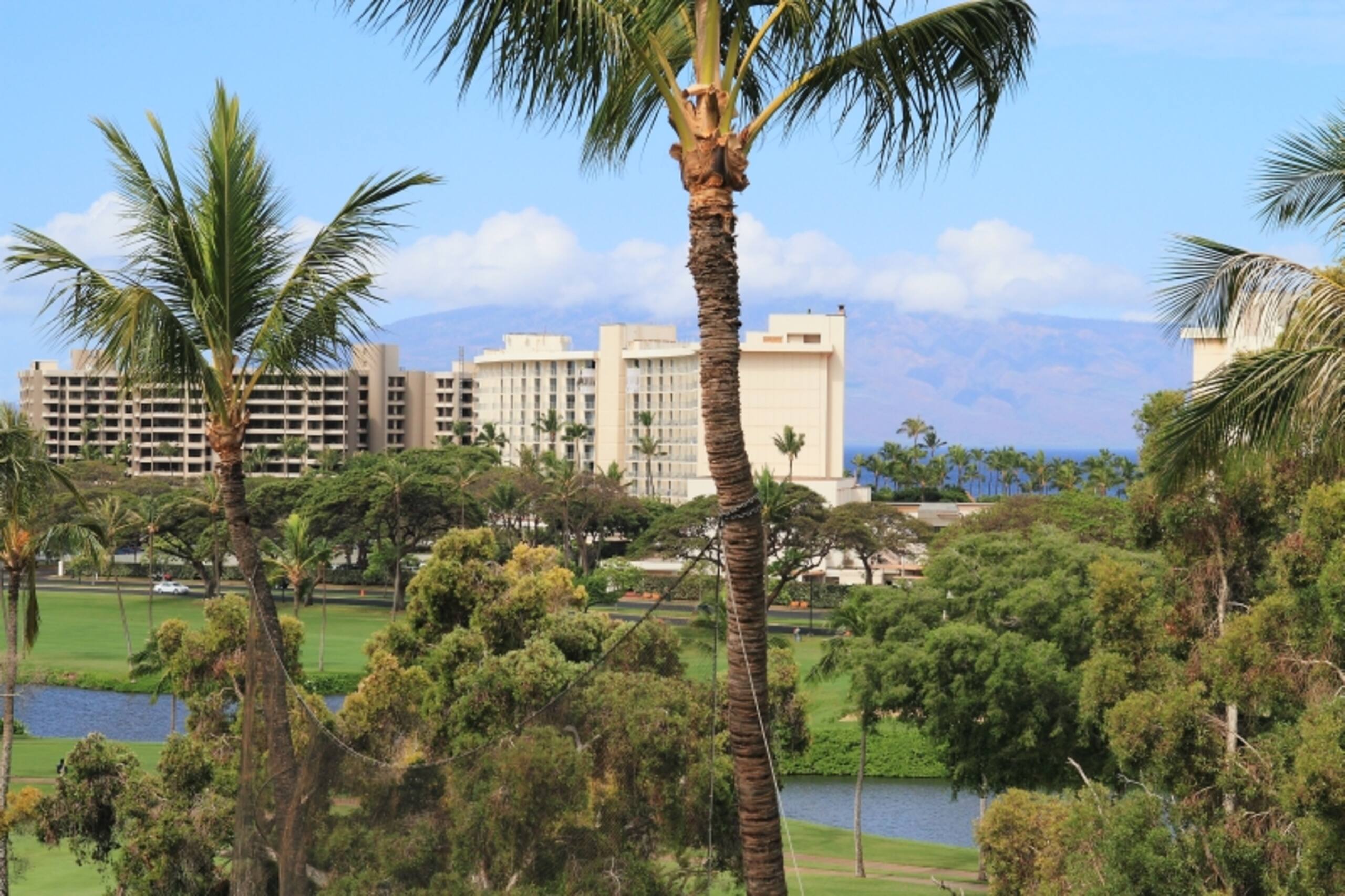 Condo in Lahaina · ★4.61 · 2 bedrooms · 3 beds · 2 baths - Image 51