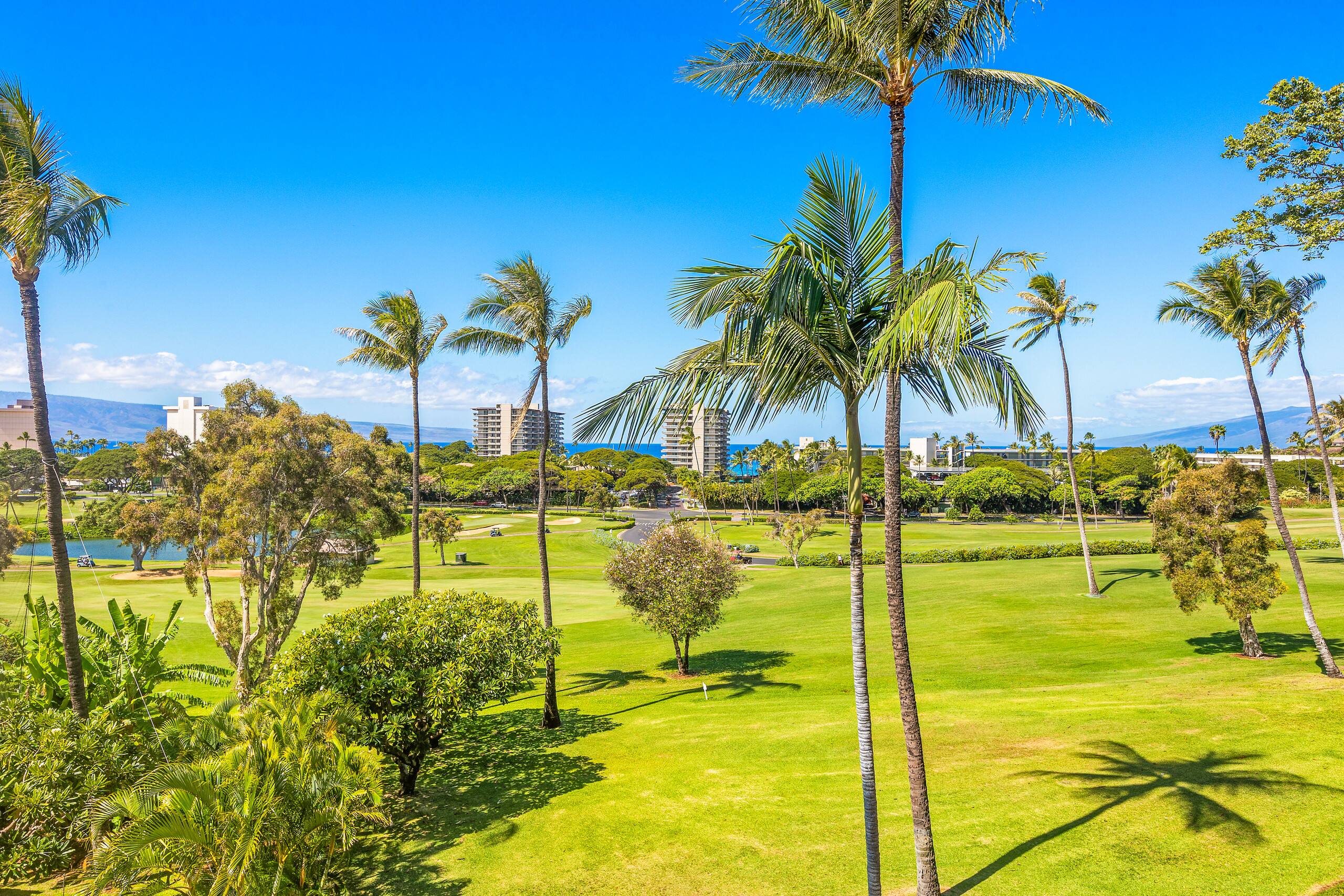 Condo in Lahaina · ★4.61 · 2 bedrooms · 3 beds · 2 baths - Image 49