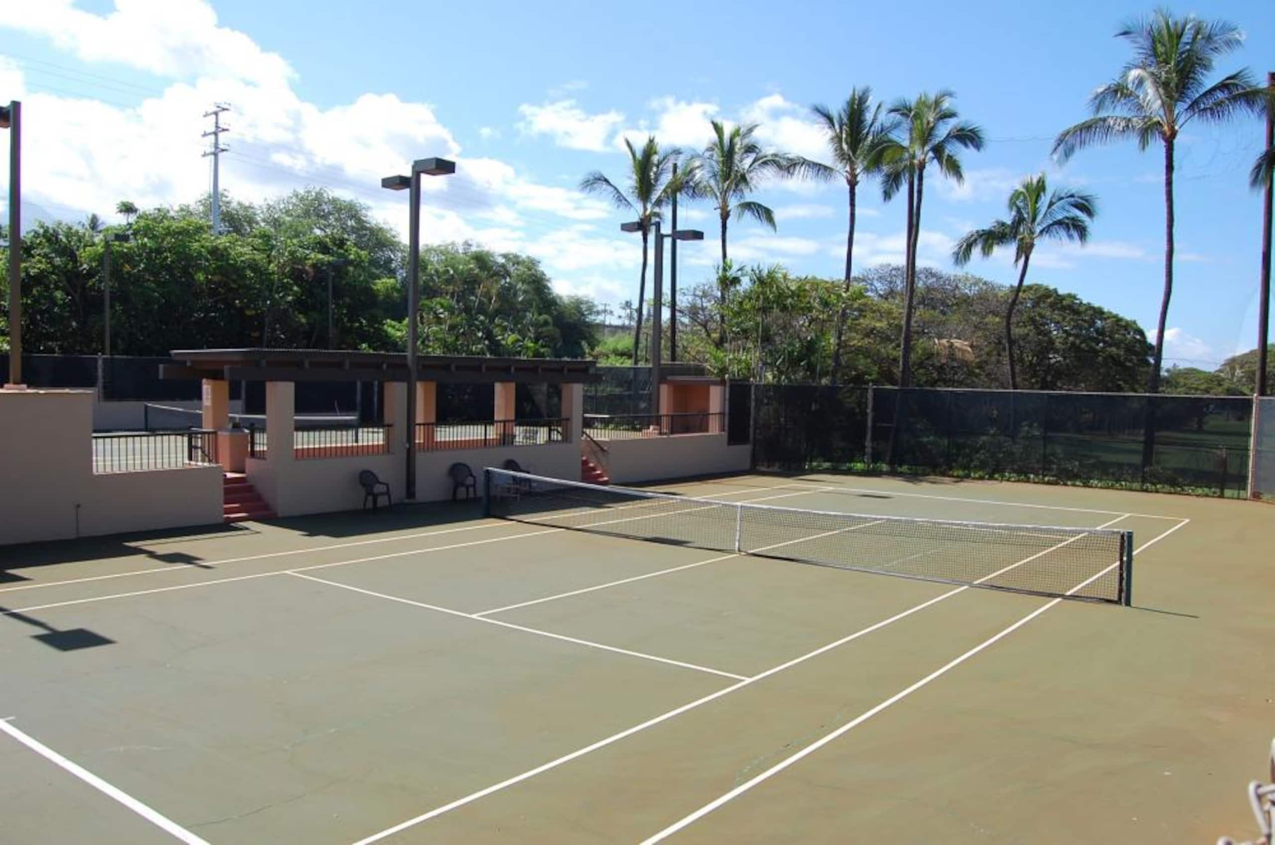 Condo in Lahaina · ★4.61 · 2 bedrooms · 3 beds · 2 baths - Image 54