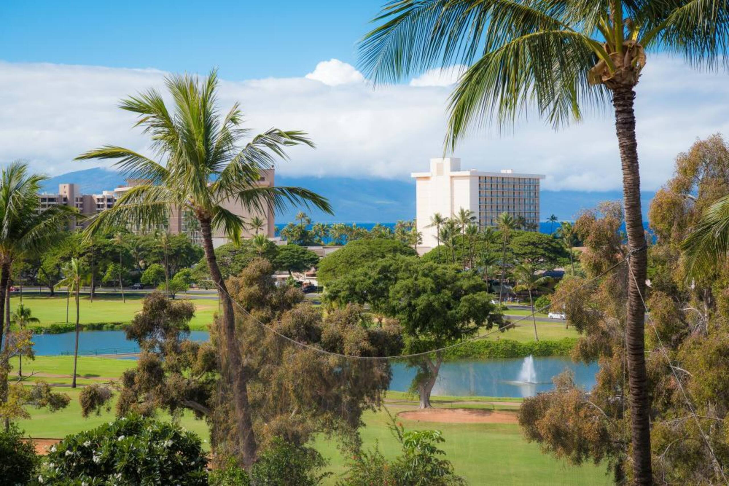 Condo in Lahaina · ★4.88 · 2 bedrooms · 3 beds · 2 private baths - Image 1