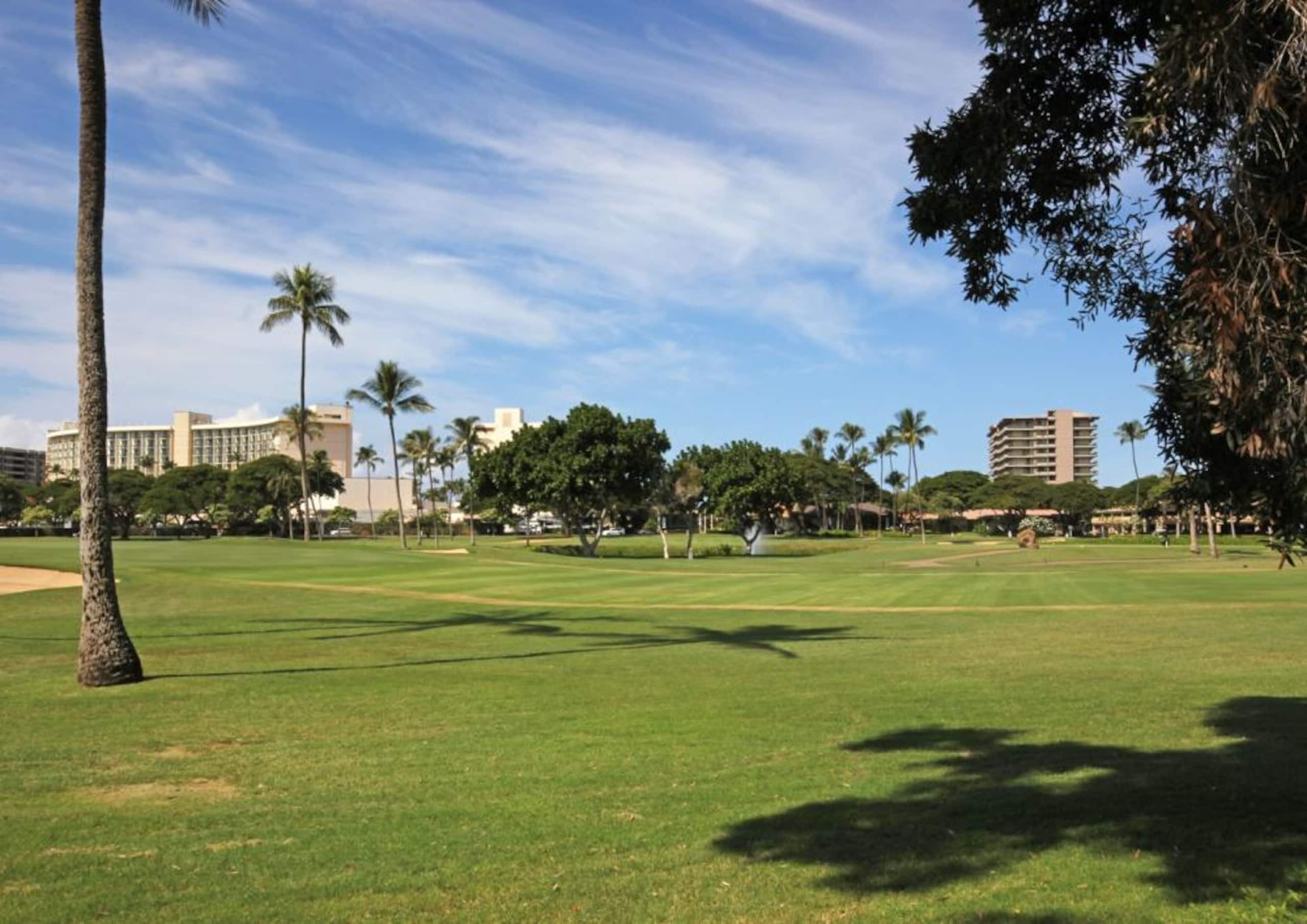 Condo in Lahaina · ★4.88 · 2 bedrooms · 3 beds · 2 private baths - Image 22