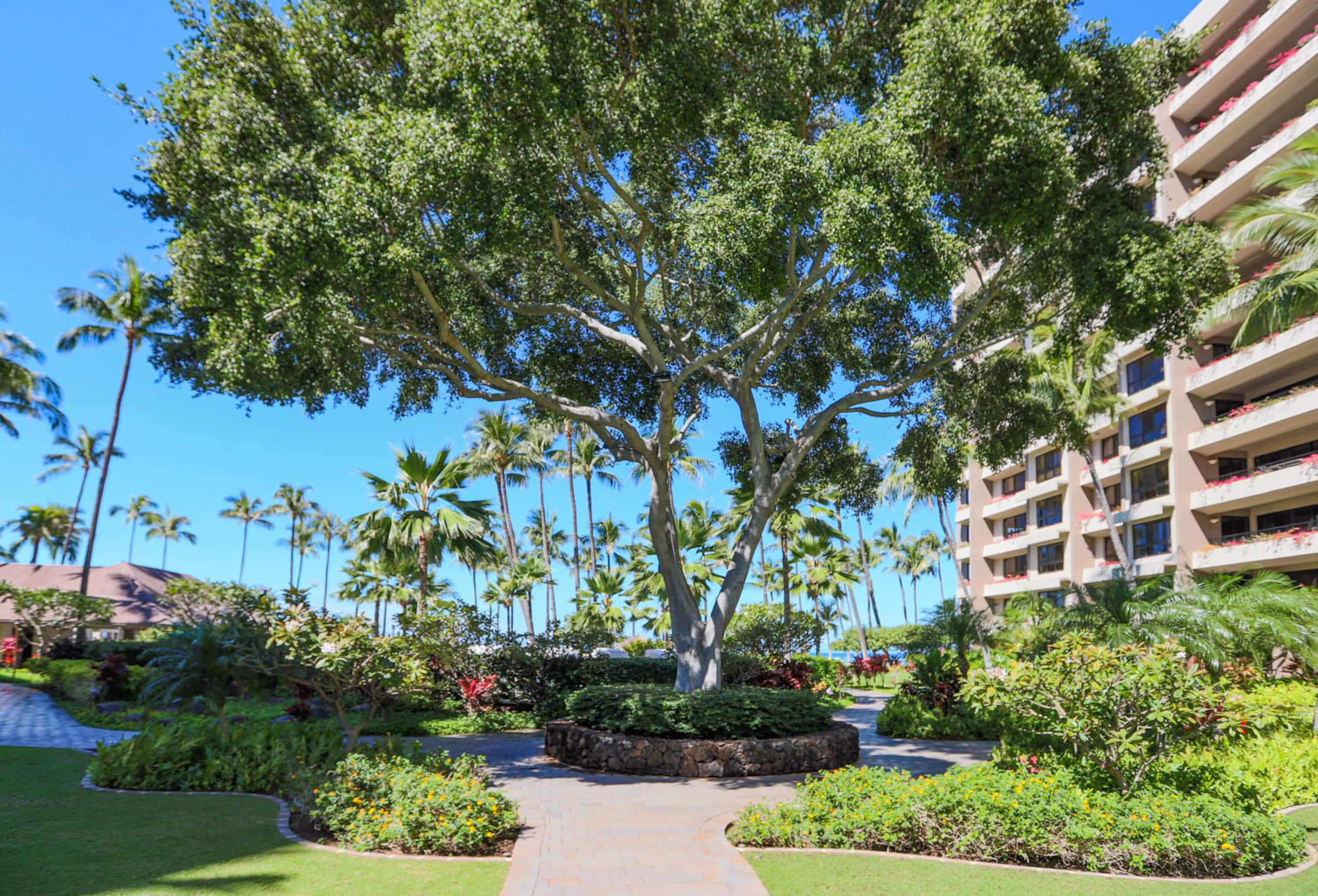 Condo in Lahaina · ★4.93 · 2 bedrooms · 3 beds · 2 baths - Image 34