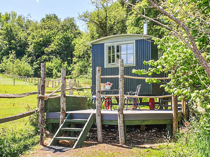Dorset Alpaca Shepherd's Hut - 多爾切斯特