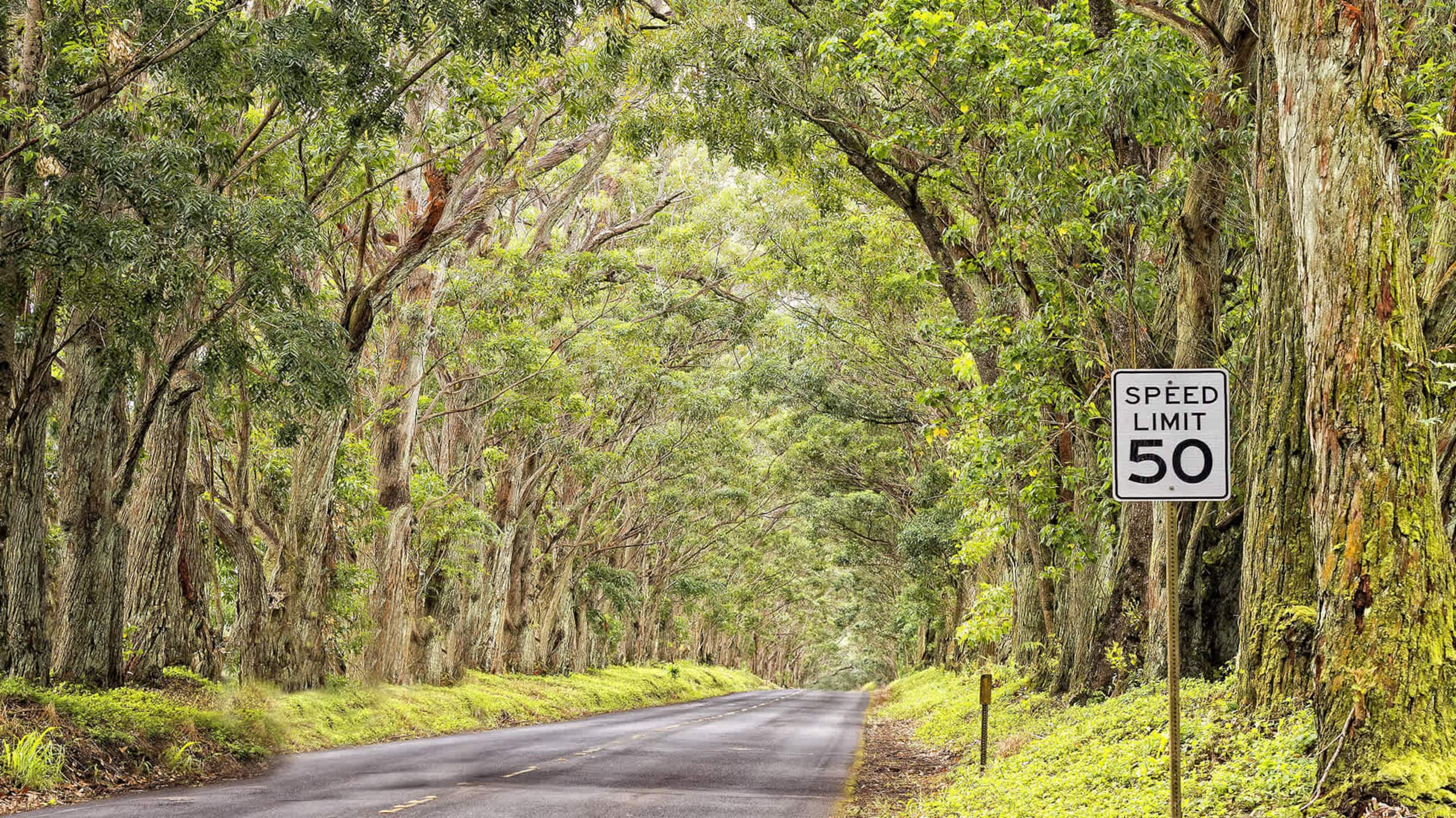 Nihi Kai Villas 700 Ocean Views AC - Image 36