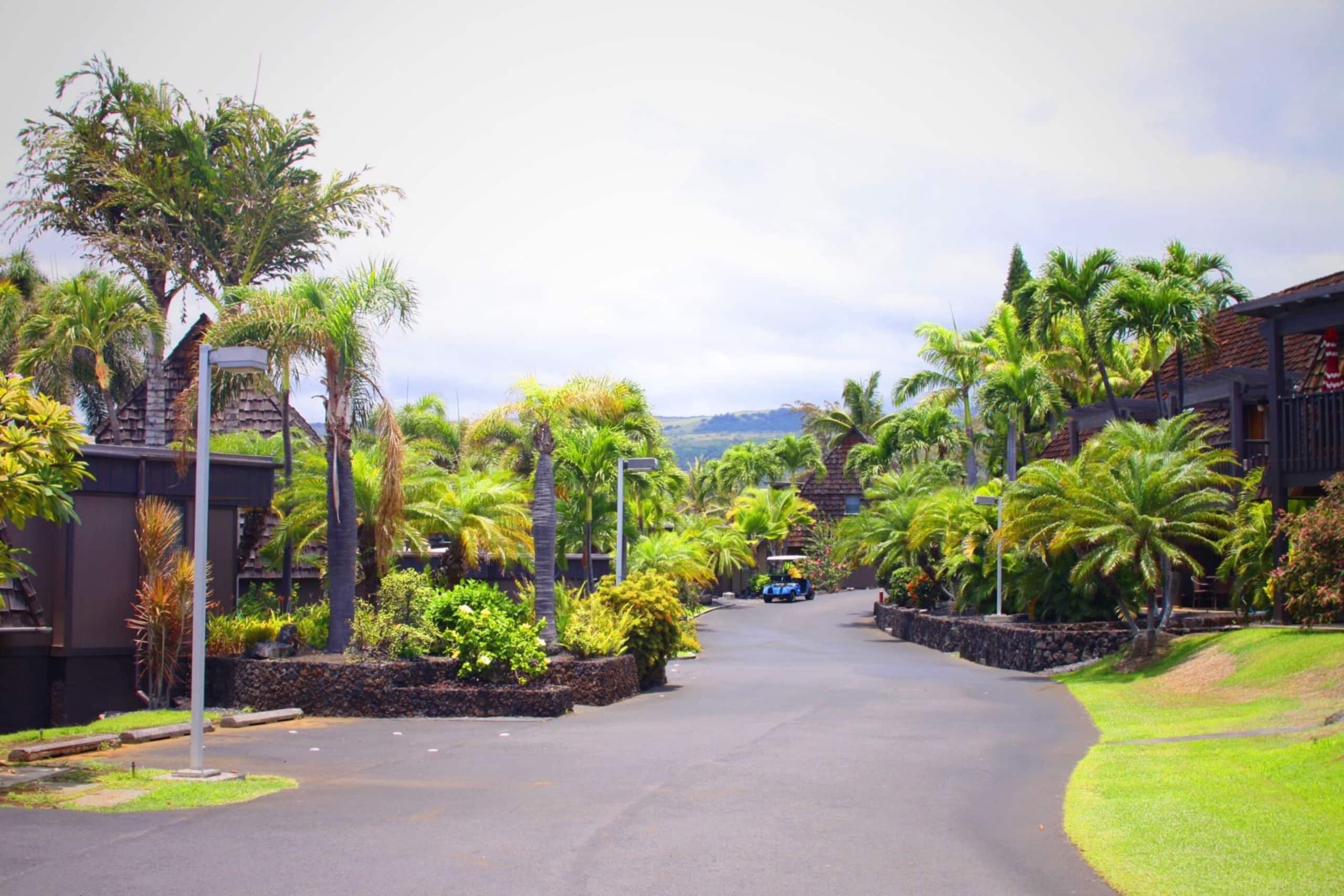 Condo in Pahala · ★4.57 · 1 bedroom · 2 beds · 1 shared bath - Image 11