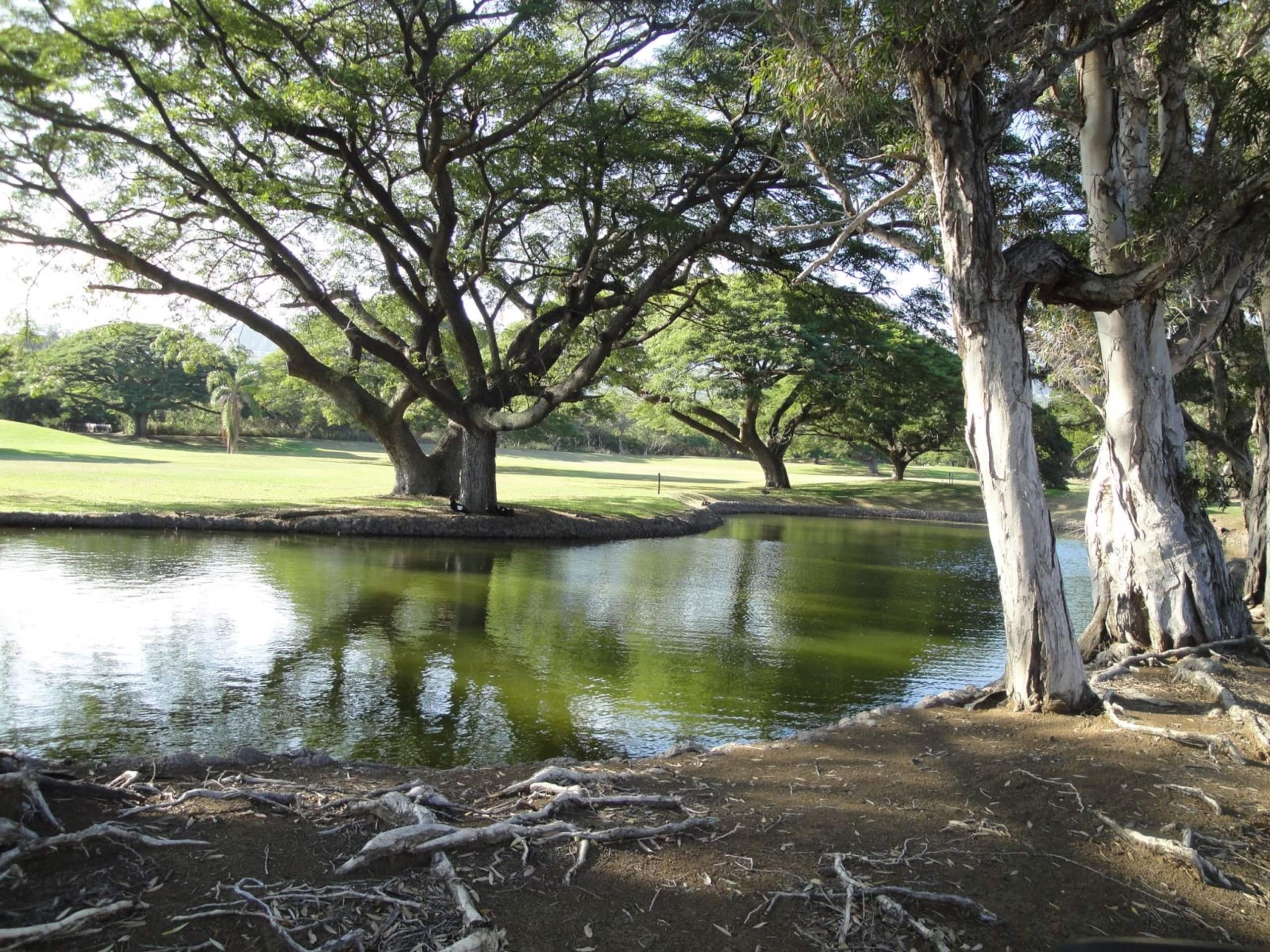 Condo in Pahala · ★4.57 · 1 bedroom · 2 beds · 1 shared bath - Image 17