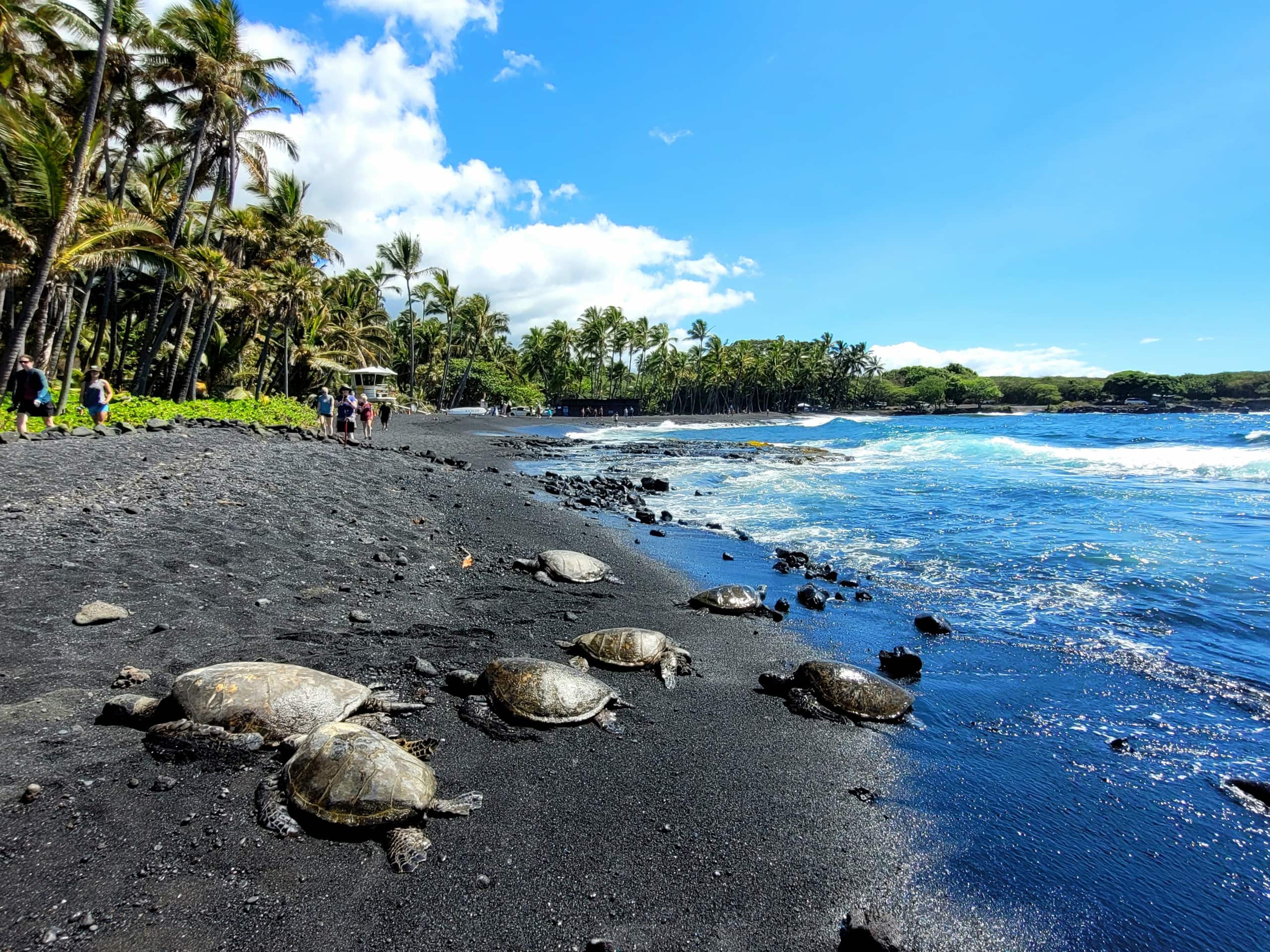 Condo in Pahala · ★4.65 · Studio · 2 beds · 1 private bath - Image 30
