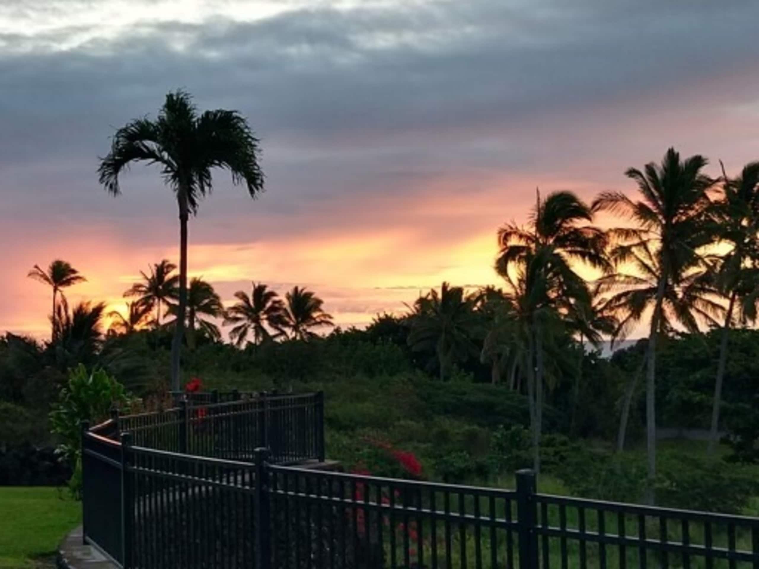 Condo in Pahala · ★4.88 · 1 bedroom · 1 shared bath - Image 22