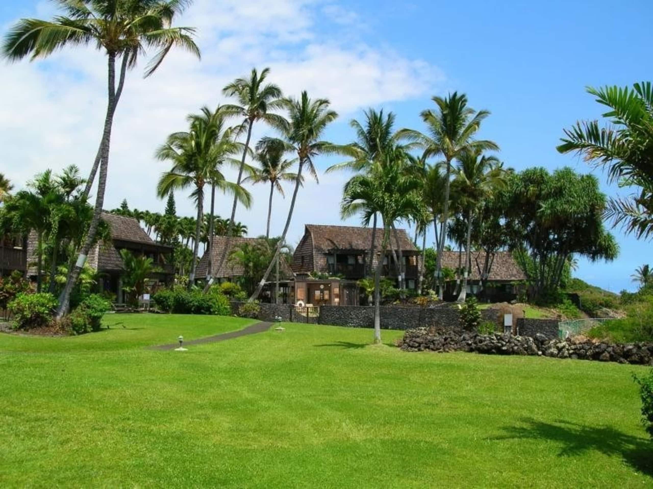 Condo in Pahala · ★4.88 · 1 bedroom · 1 shared bath - Image 18