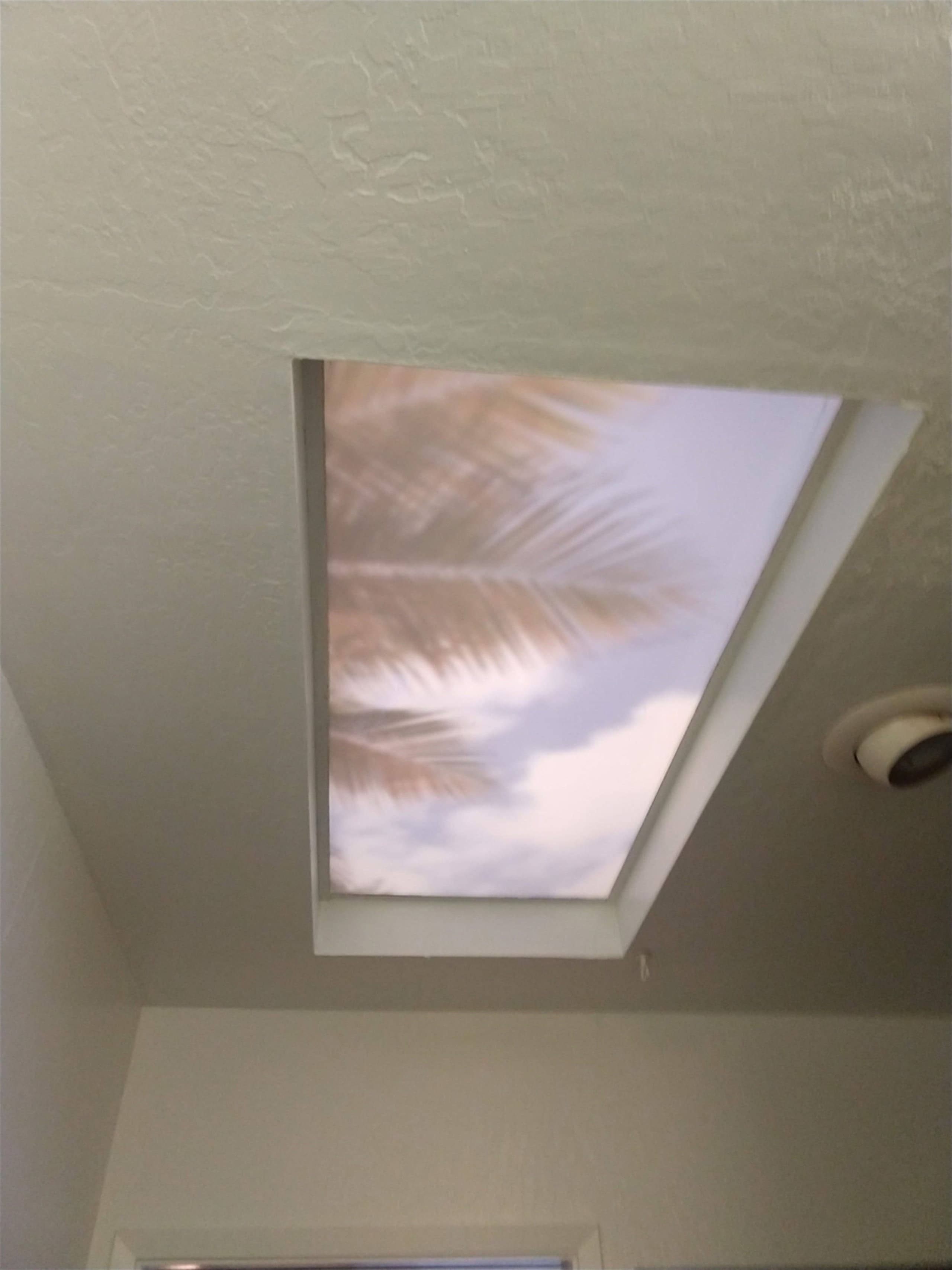 Condo in Pahala · ★4.88 · 1 bedroom · 1 shared bath - Image 15