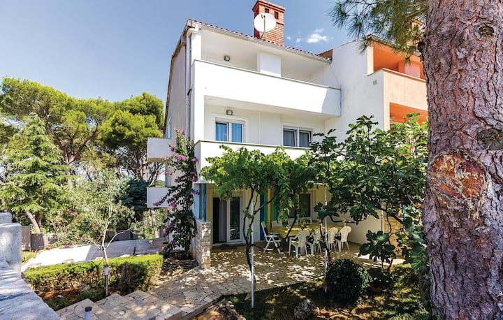 Maison Pineta Art Home (123811-k1) - Pješčana Uvala