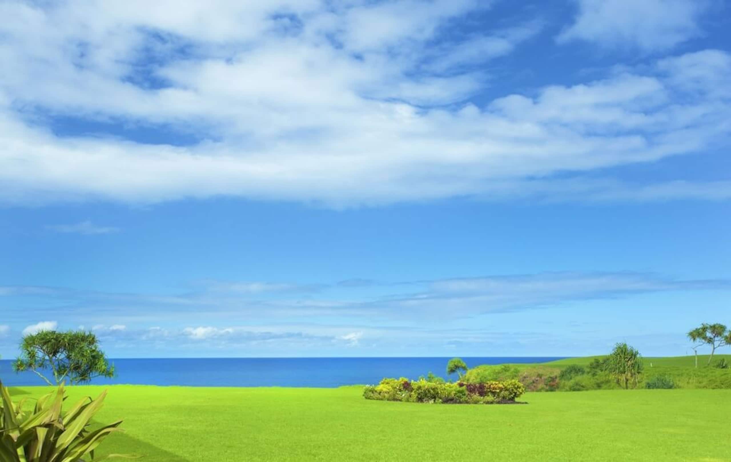 Townhouse in Princeville · ★4.91 · 2 bedrooms · 2 beds · 2 baths - Image 2