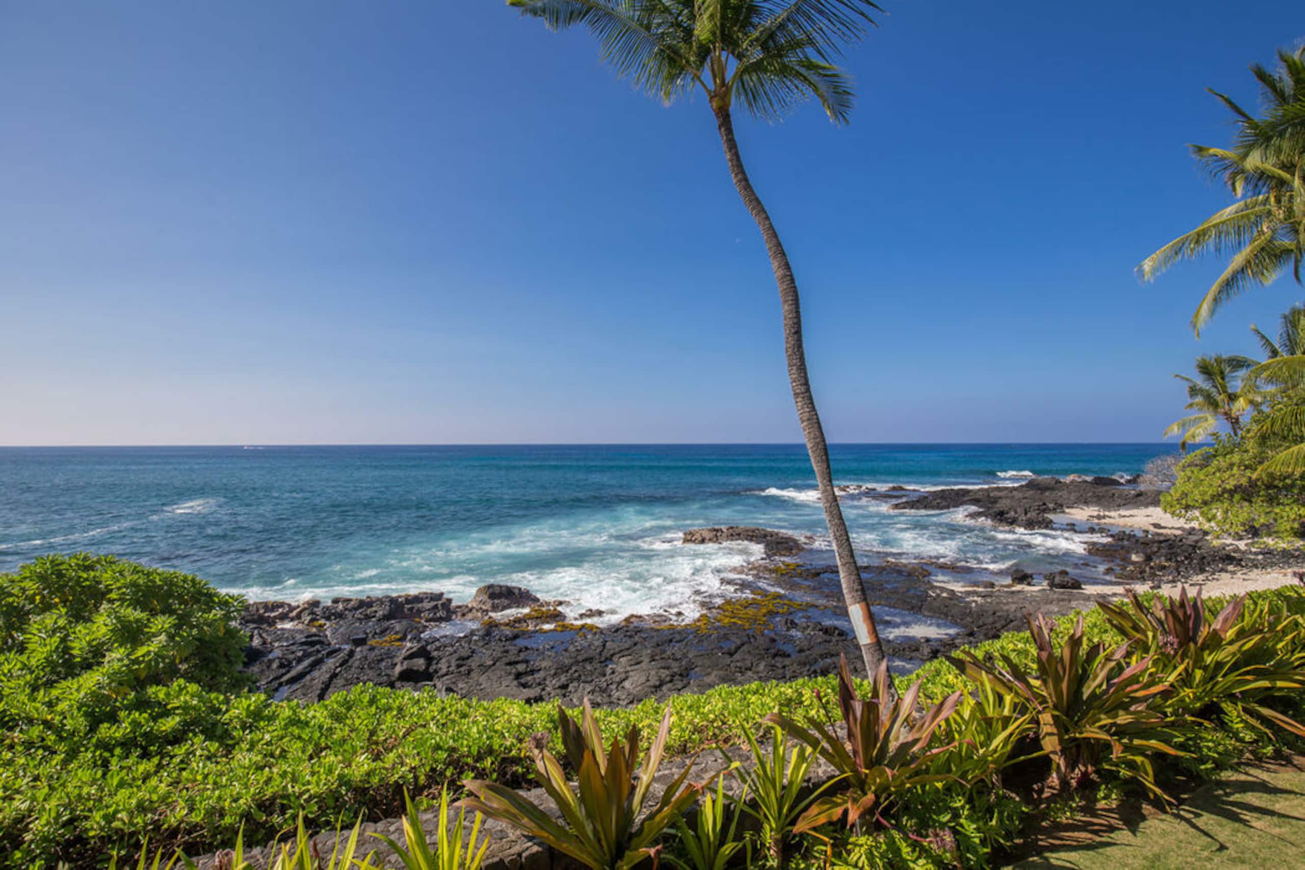 Condo in Kailua-Kona · ★4.67 · 2 bedrooms · 2 beds · 2 baths - Image 17