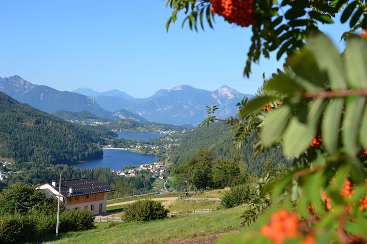 Appartamento Nest Family, Bedollo Ospitar - Baselga di Piné