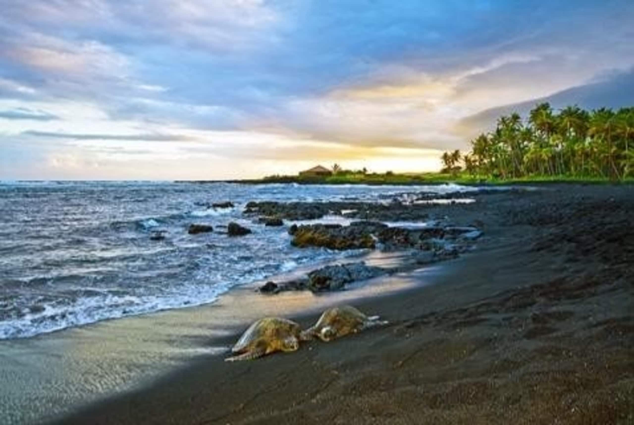 52 Walk to Black Sand Beach, near Volcano Natl Pk - Photo 26