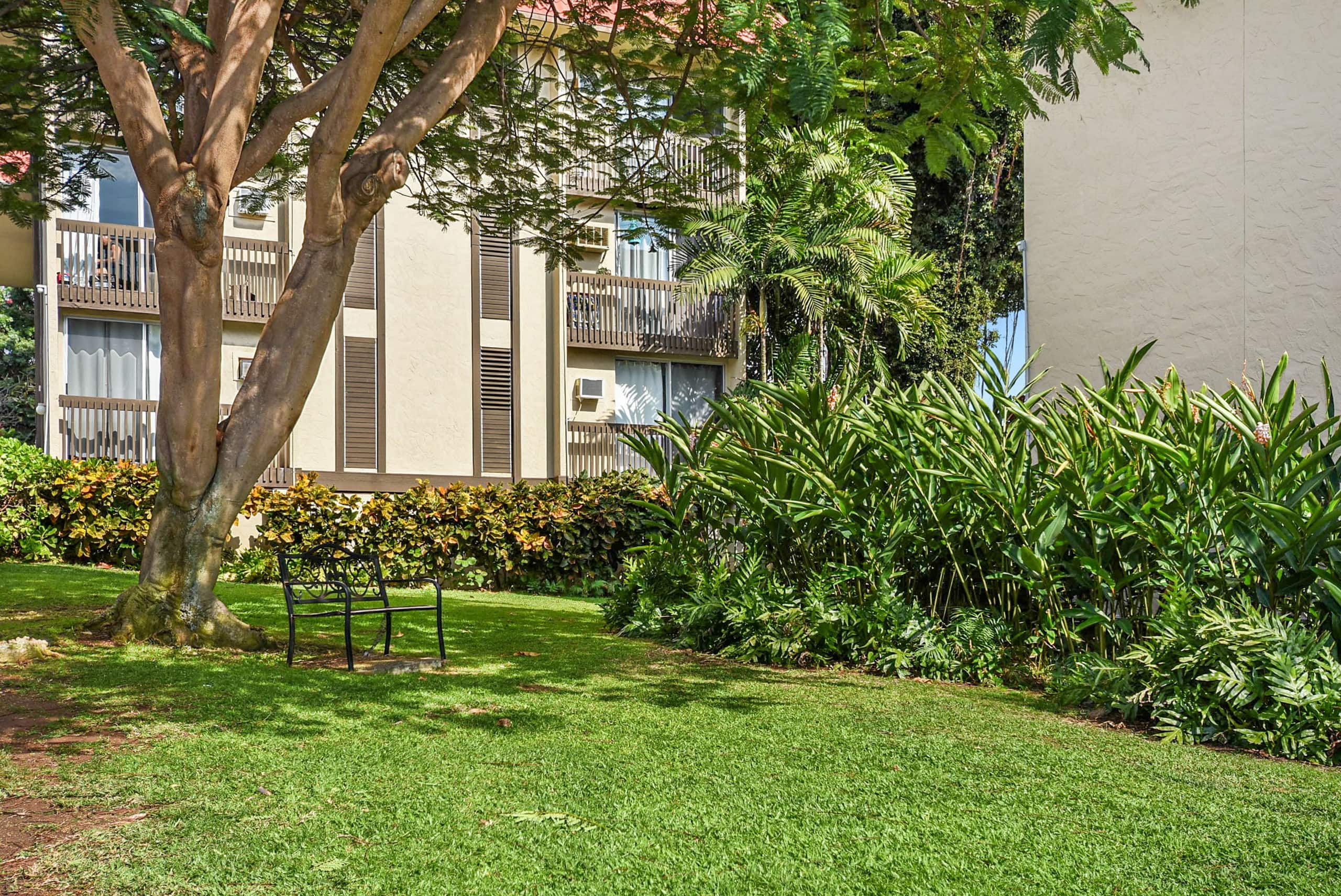 Condo in Kailua-Kona · ★5.0 · 2 bedrooms · 3 beds · 1.5 private baths - Image 31