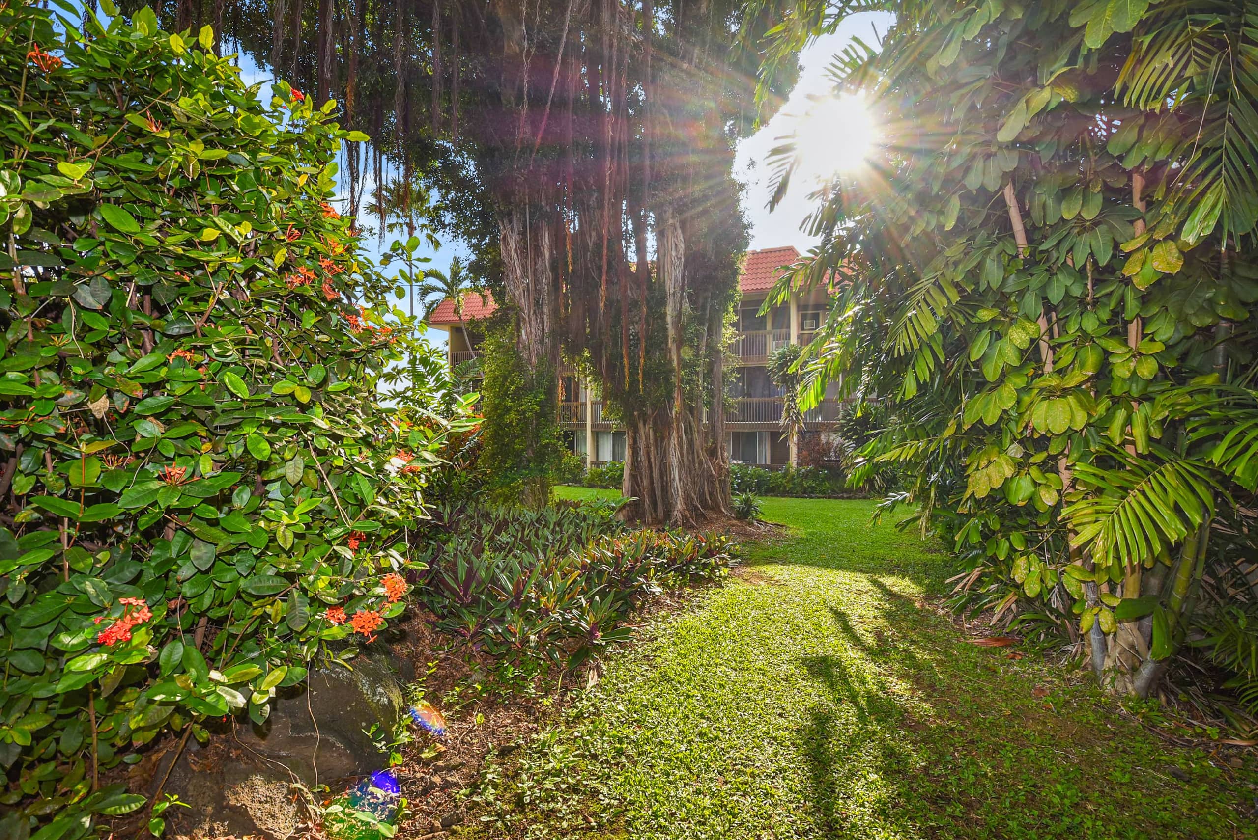 Condo in Kailua-Kona · ★5.0 · 2 bedrooms · 3 beds · 1.5 private baths - Image 5