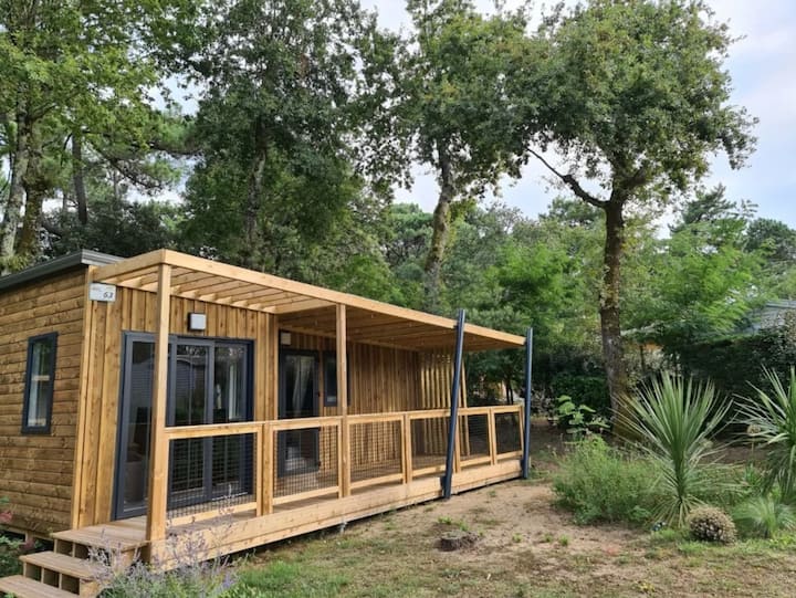 Cottage Badiane Premium Vue Forêt 3 Pièces 4 Per - Île d'Oléron
