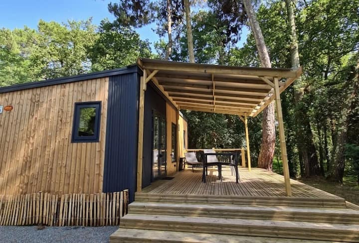 Cottage Clairière Standing 4 Pièces 6 Personnes Cl - Ronce-les-Bains