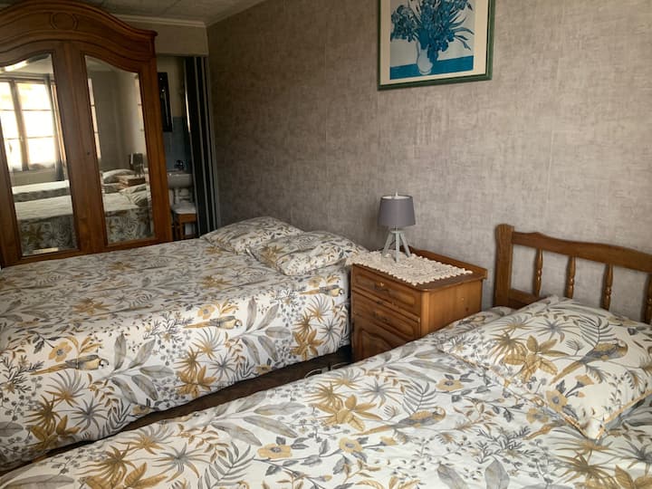 Chambre Verte - Tarare