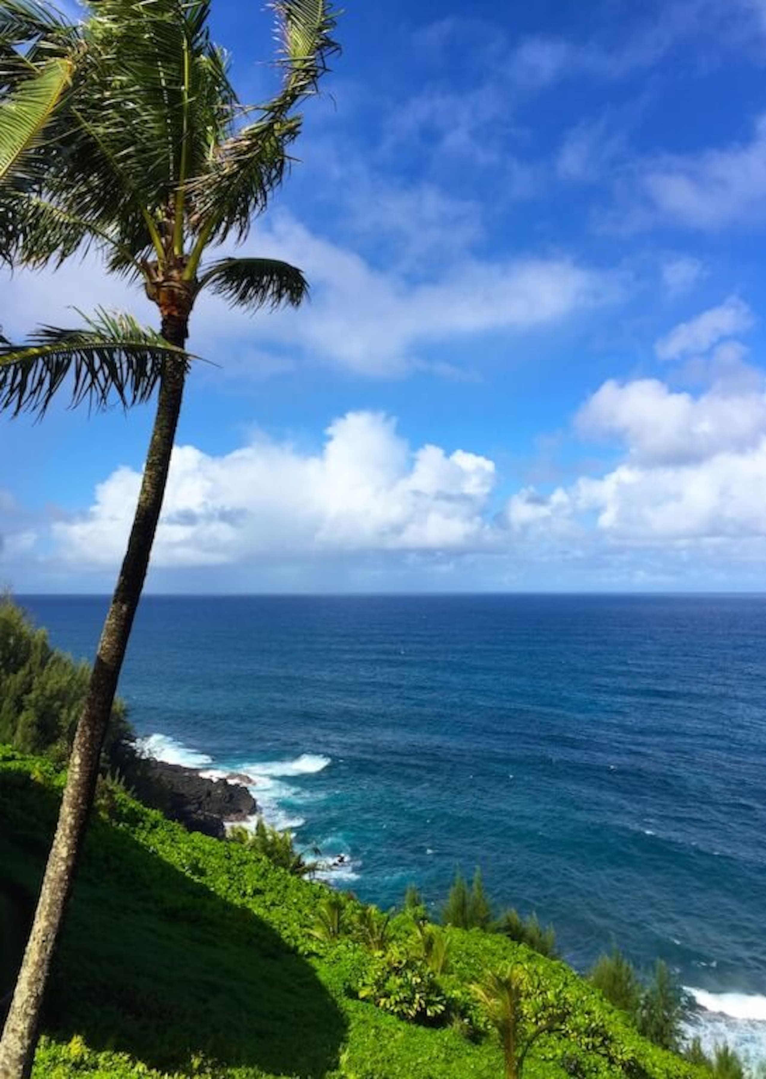 Condo in Princeville · ★4.96 · 2 bedrooms · 2 beds · 2 baths - Image 17