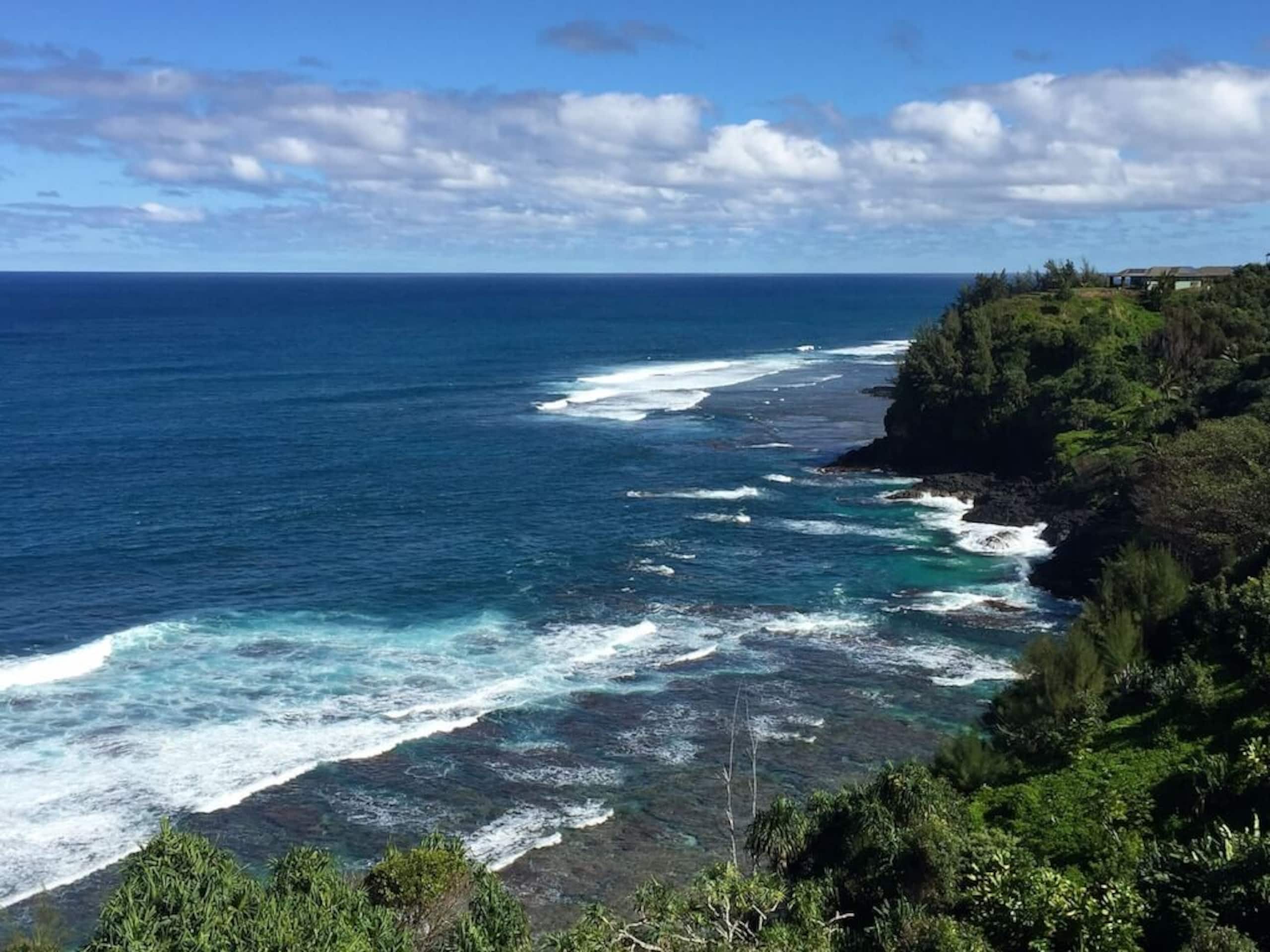 Condo in Princeville · ★4.96 · 2 bedrooms · 2 beds · 2 baths - Image 10
