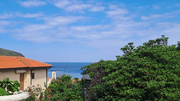 Enri Piccolo Apartment - Capraia Isola