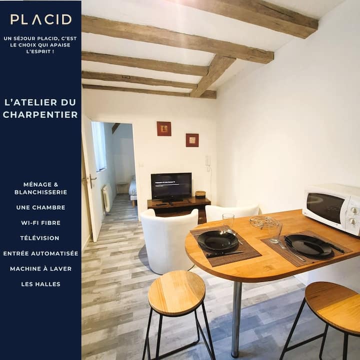Latelier Du Charpentier - T2 - Wifi - Tv - Tours