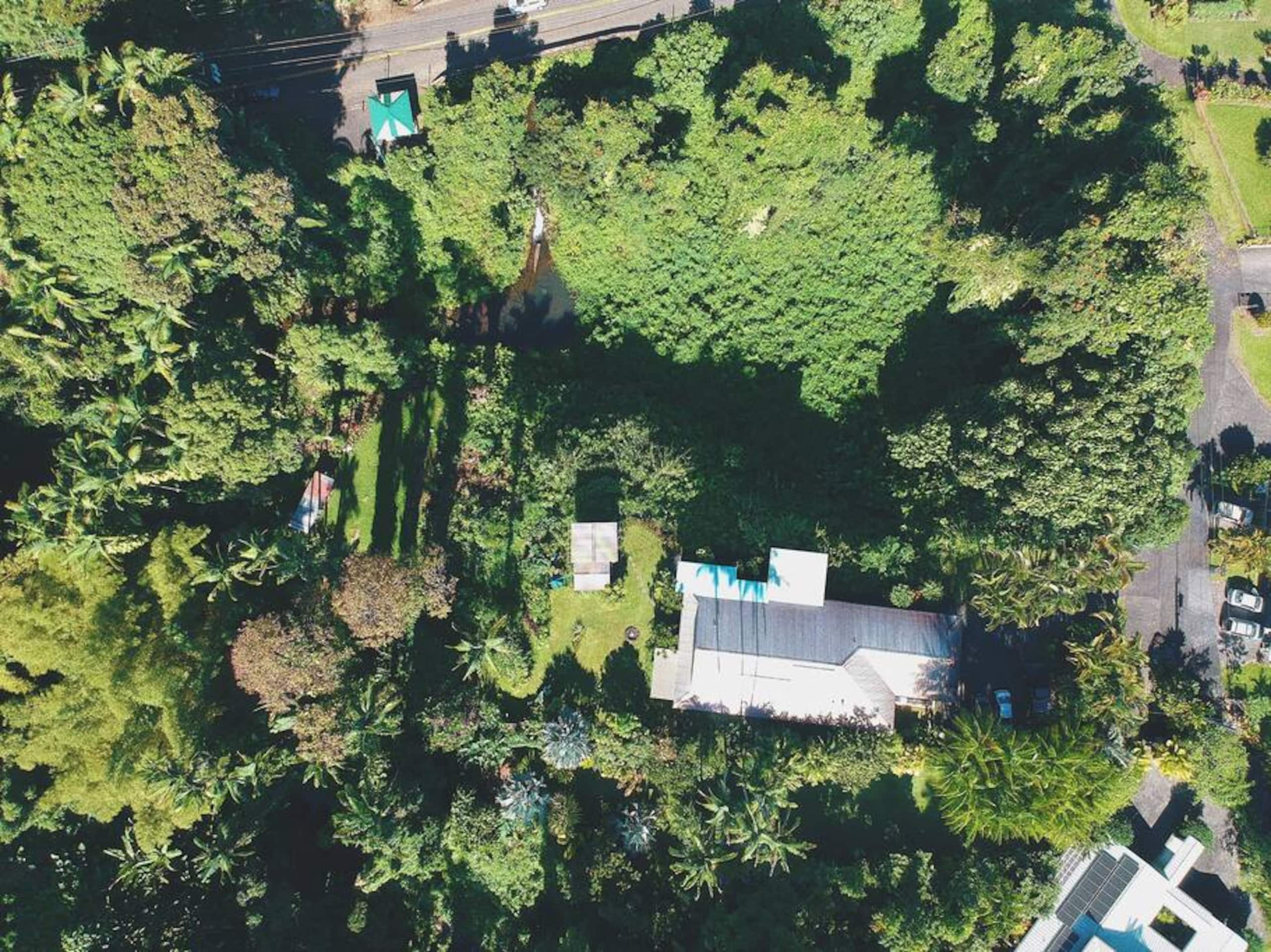 Rainforest Views - B&B One Mile from Downtown Hilo - Photo 7