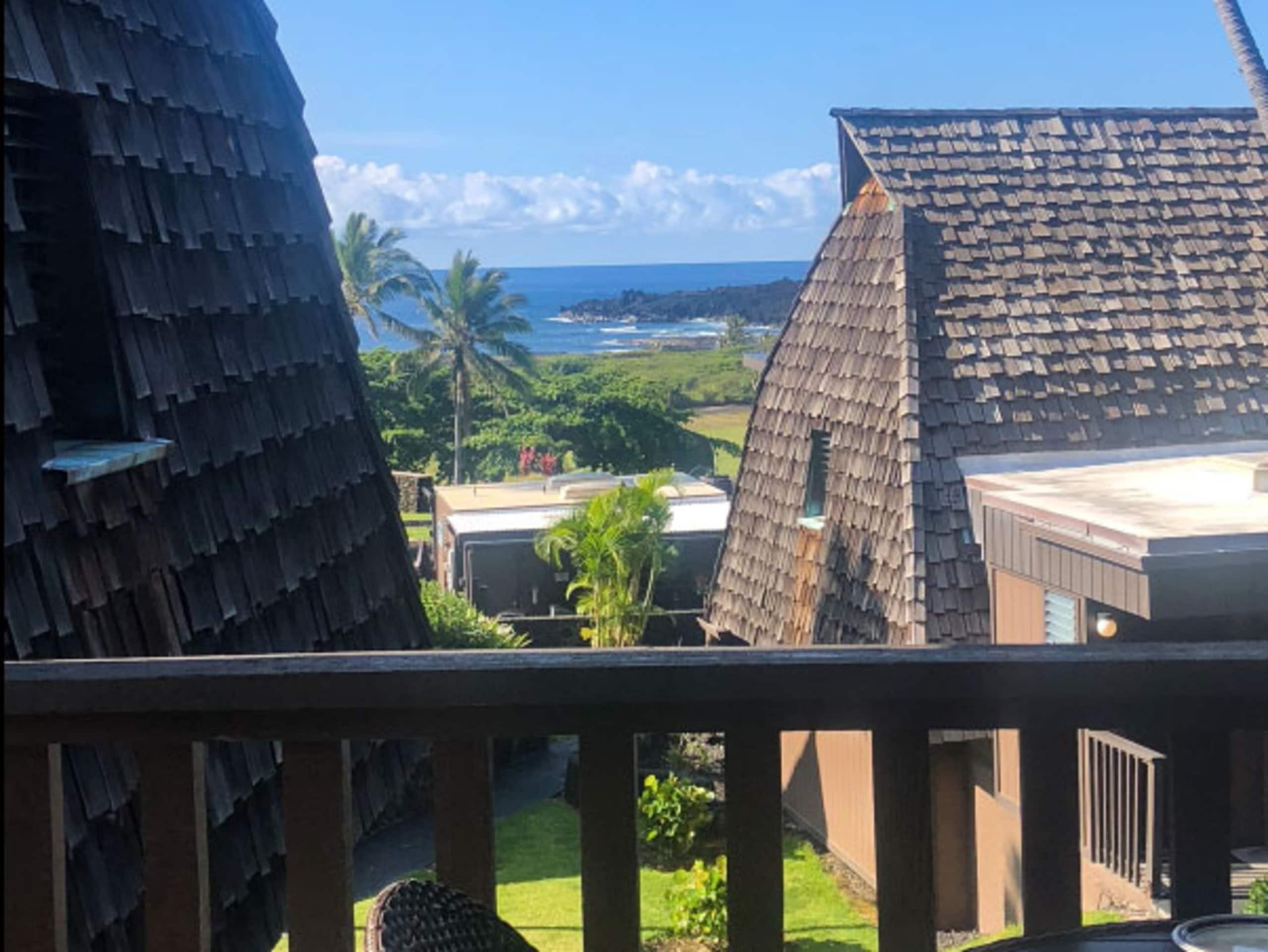 Condo in Pahala · ★4.77 · 1 bedroom · 2 beds · 1 private bath - Image 14