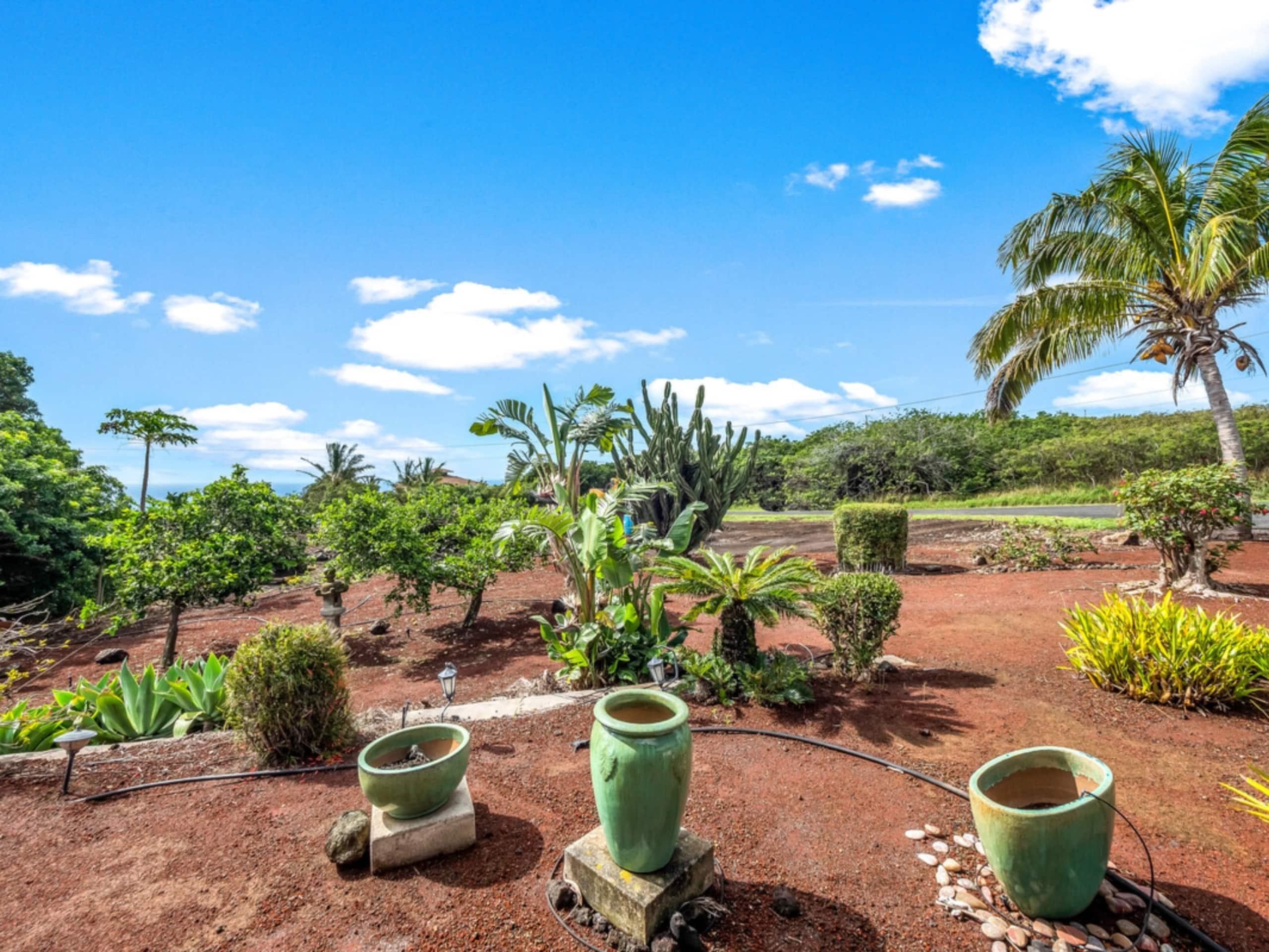 Home in Naalehu · ★4.8 · 3 bedrooms · 3 beds · 2 shared baths - Image 22