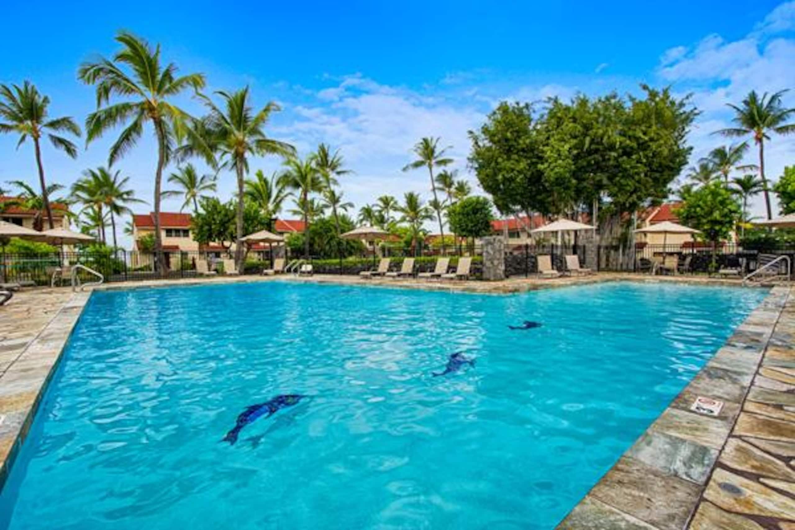 Condo in Kailua-Kona · ★4.93 · 2 bedrooms · 3 beds · 2 baths - Image 27