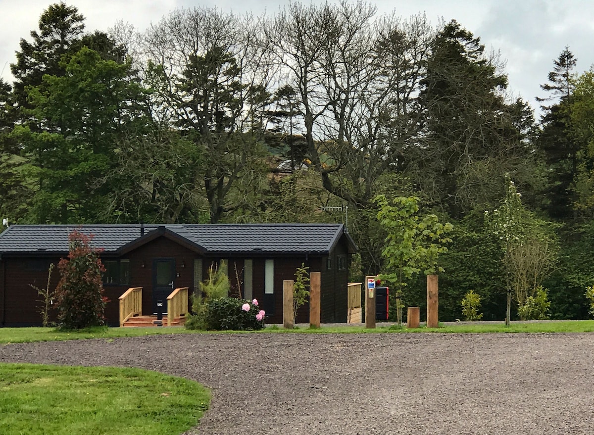A single-story cabin is visible amidst greenery, featuring a wooden exterior and a dark roof. A walkway leads to the entrance, framed by blooming flowers and shrubs. Surrounding trees provide natural shade, and the gravel path is seen in the foreground.