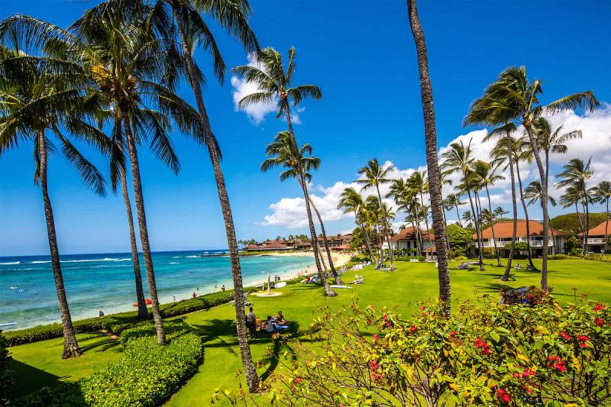 Poipu Beach retreat w/ pool, hot tub & gym - Photo 15